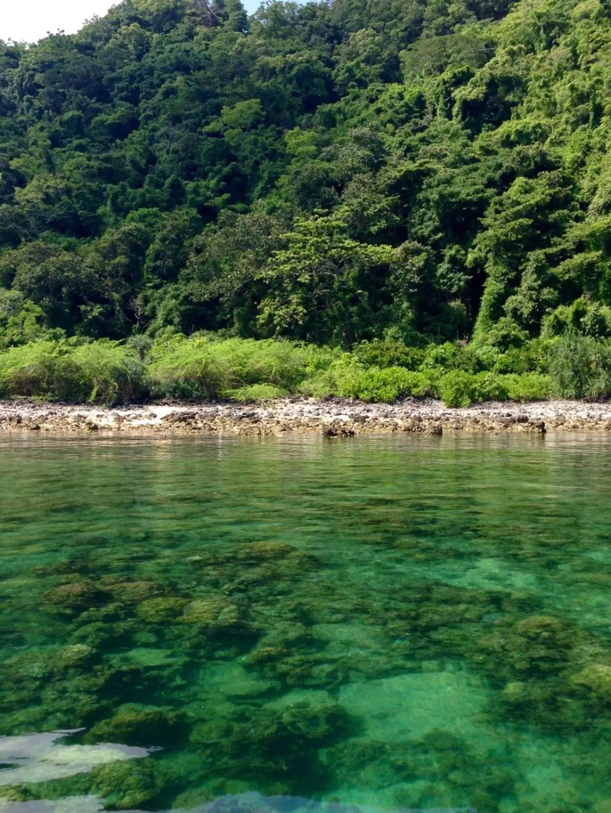 Nearby landmark in Calayo Beach Resort