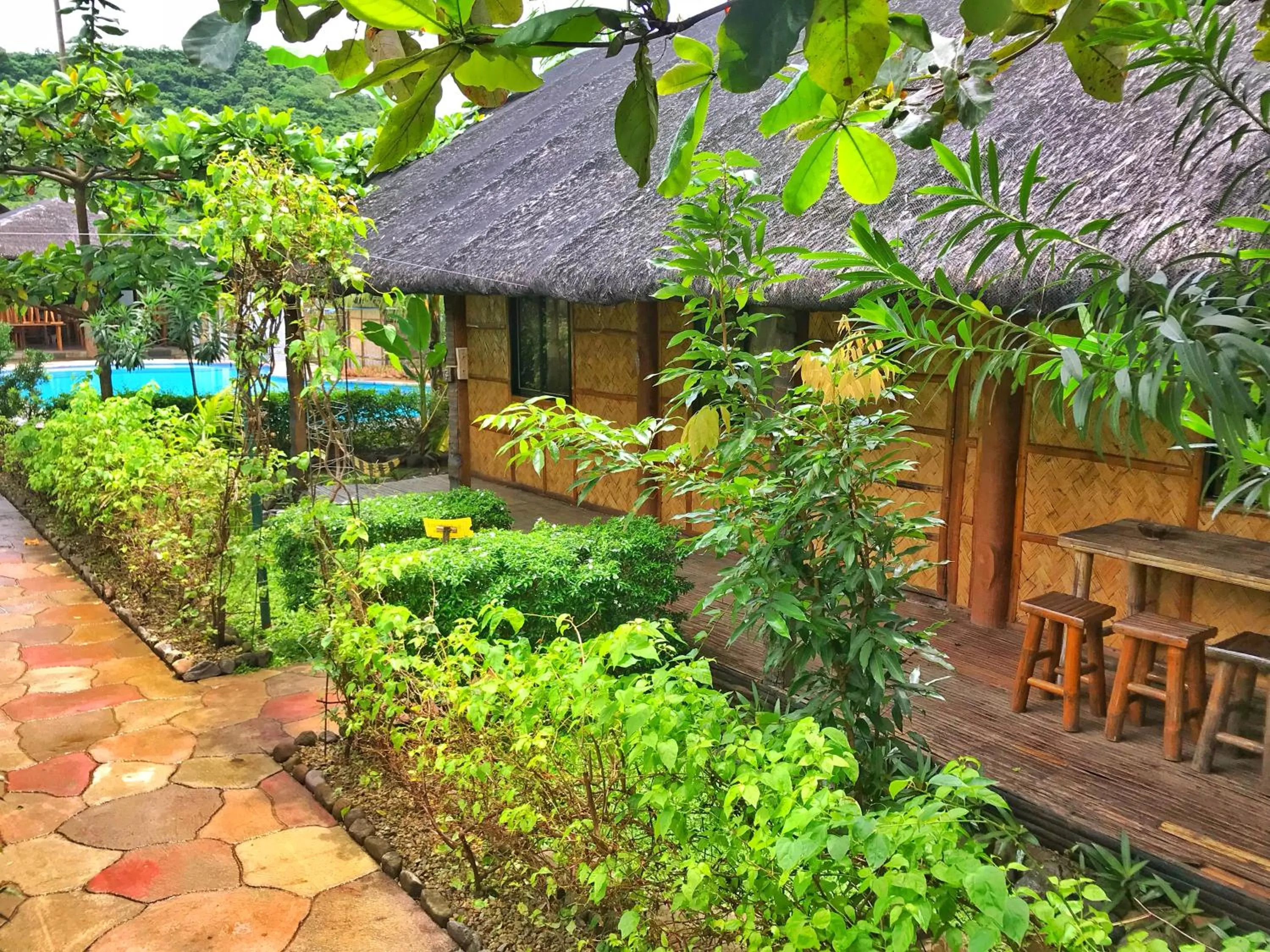 Garden in Calayo Beach Resort