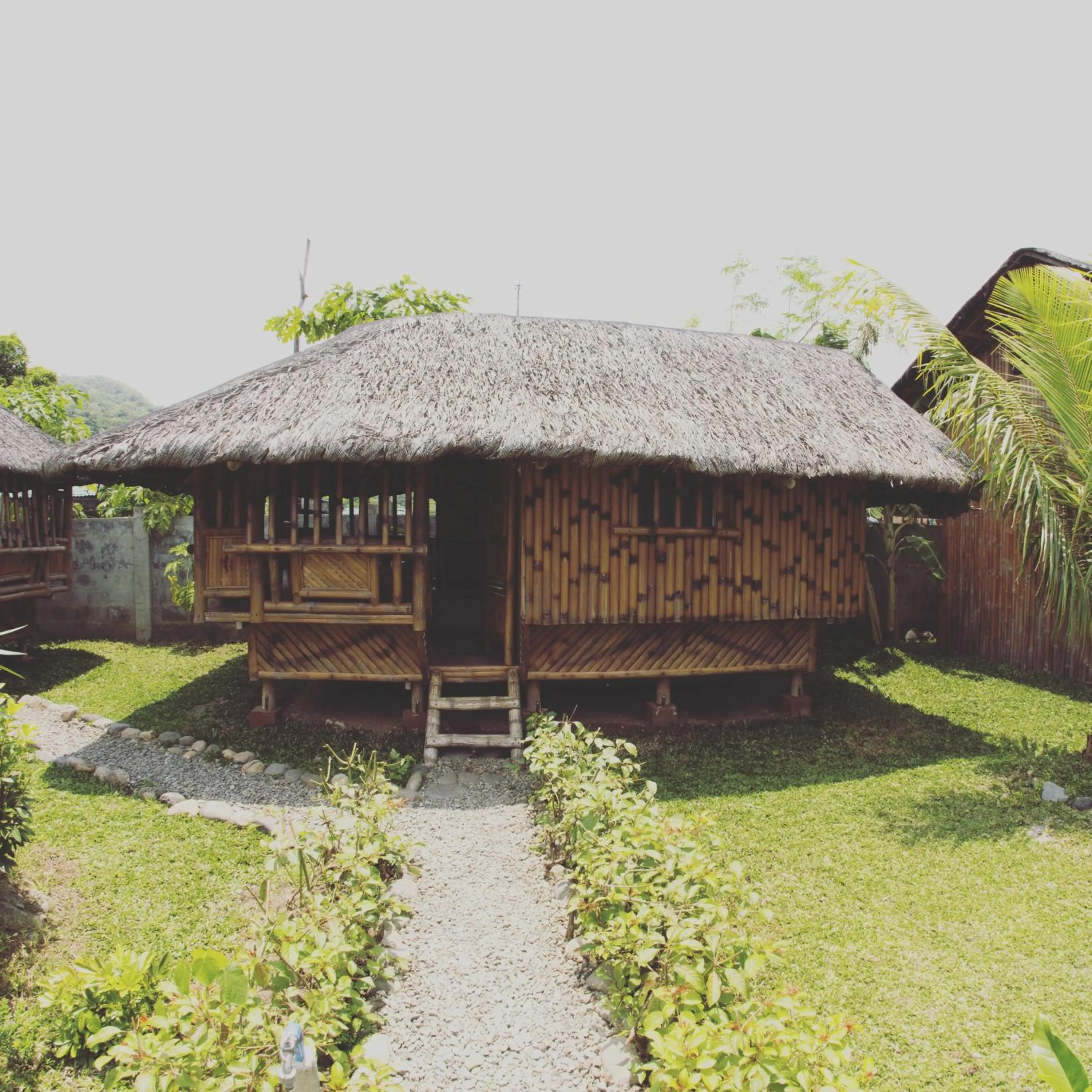 Garden view in Calayo Beach Resort