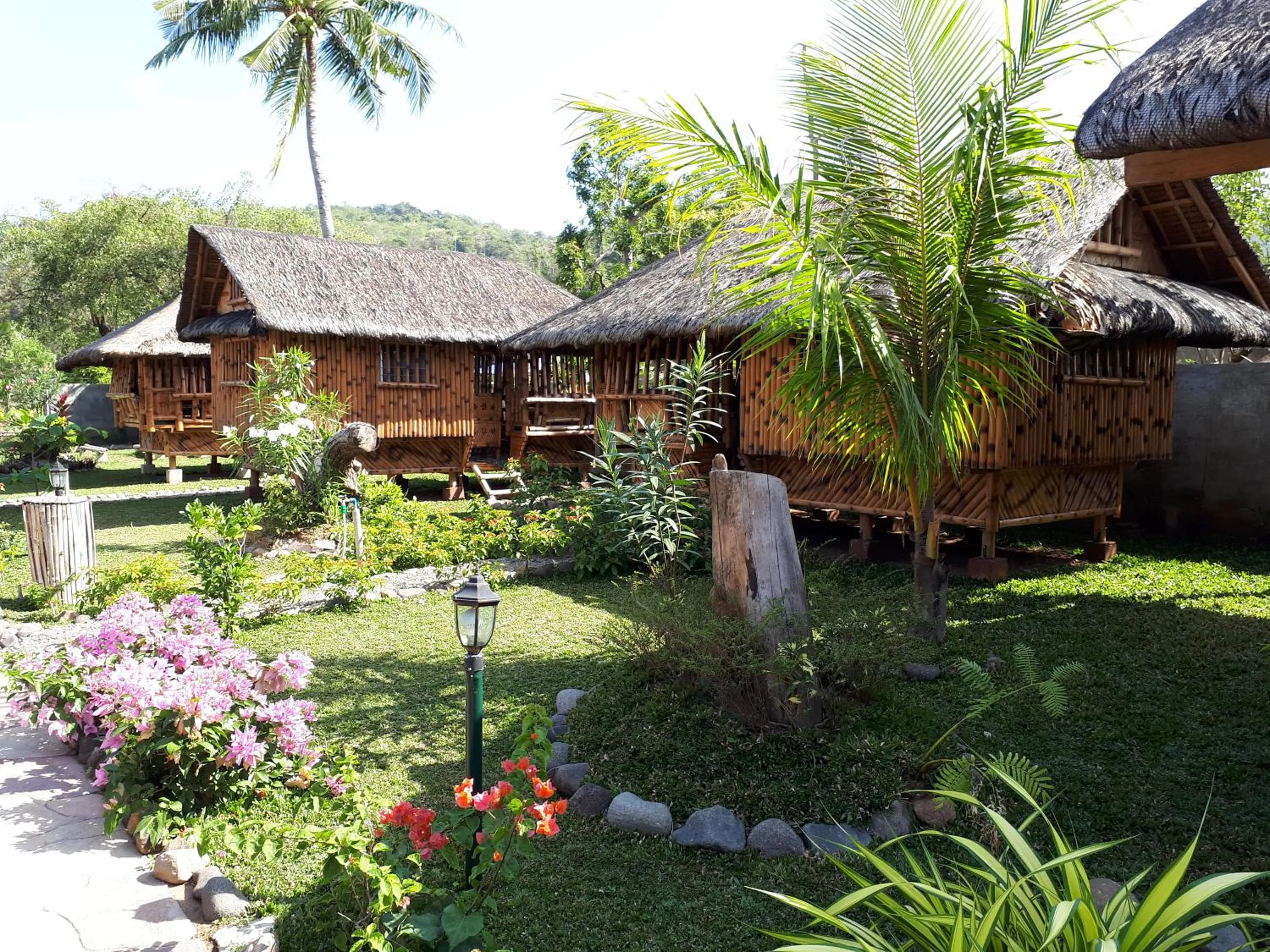 Garden in Calayo Beach Resort