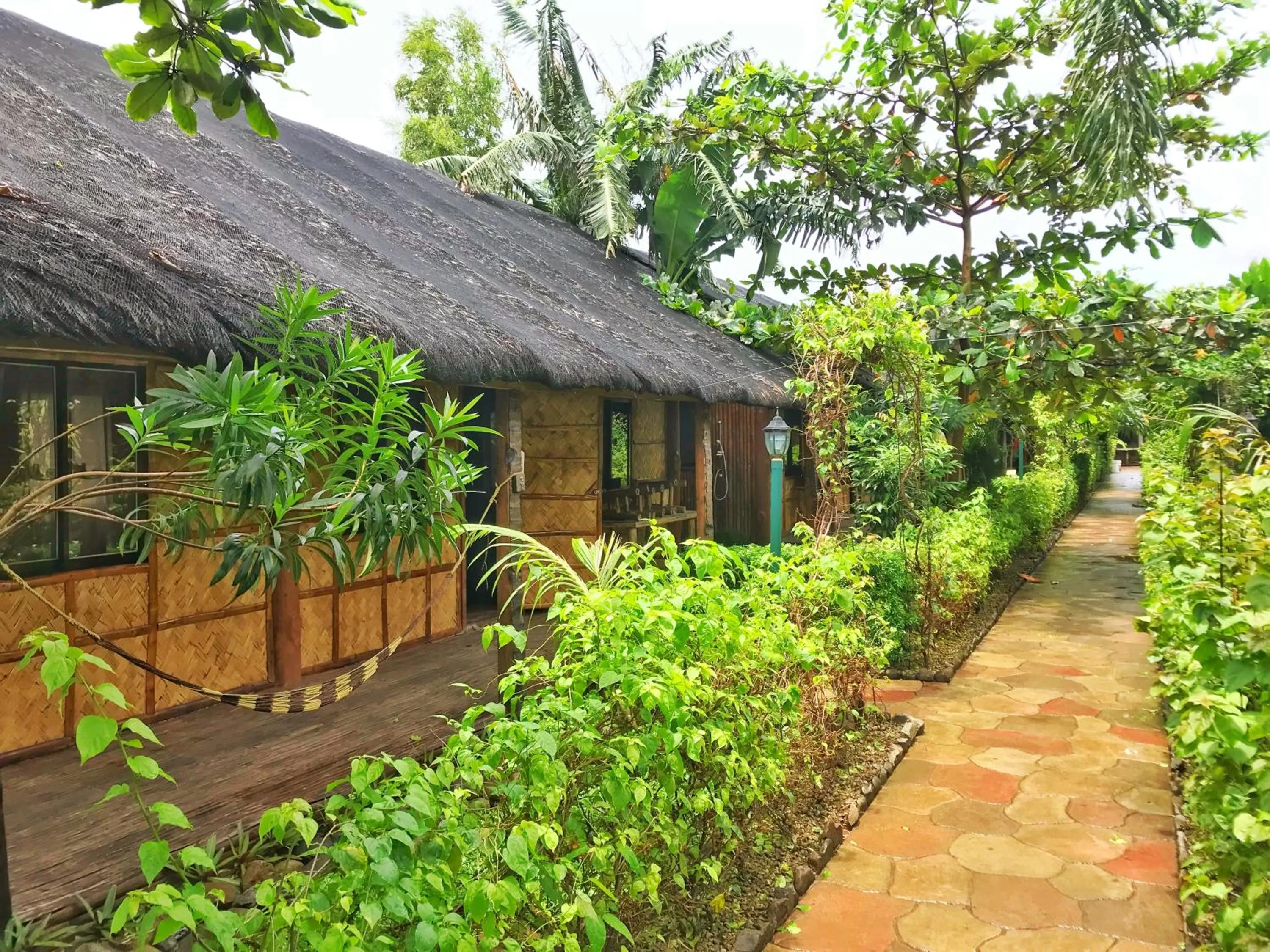 Garden in Calayo Beach Resort