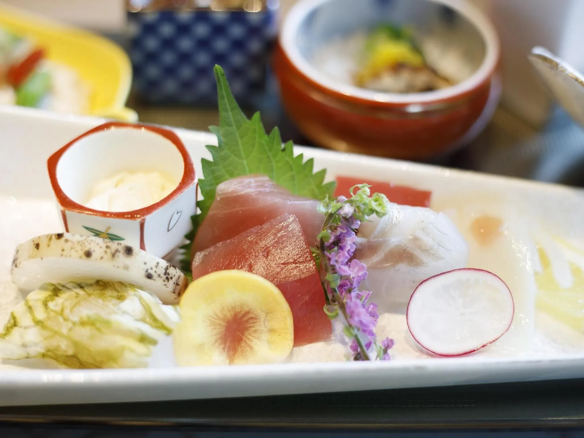 Area and facilities in Hakone Kowakien Tenyu