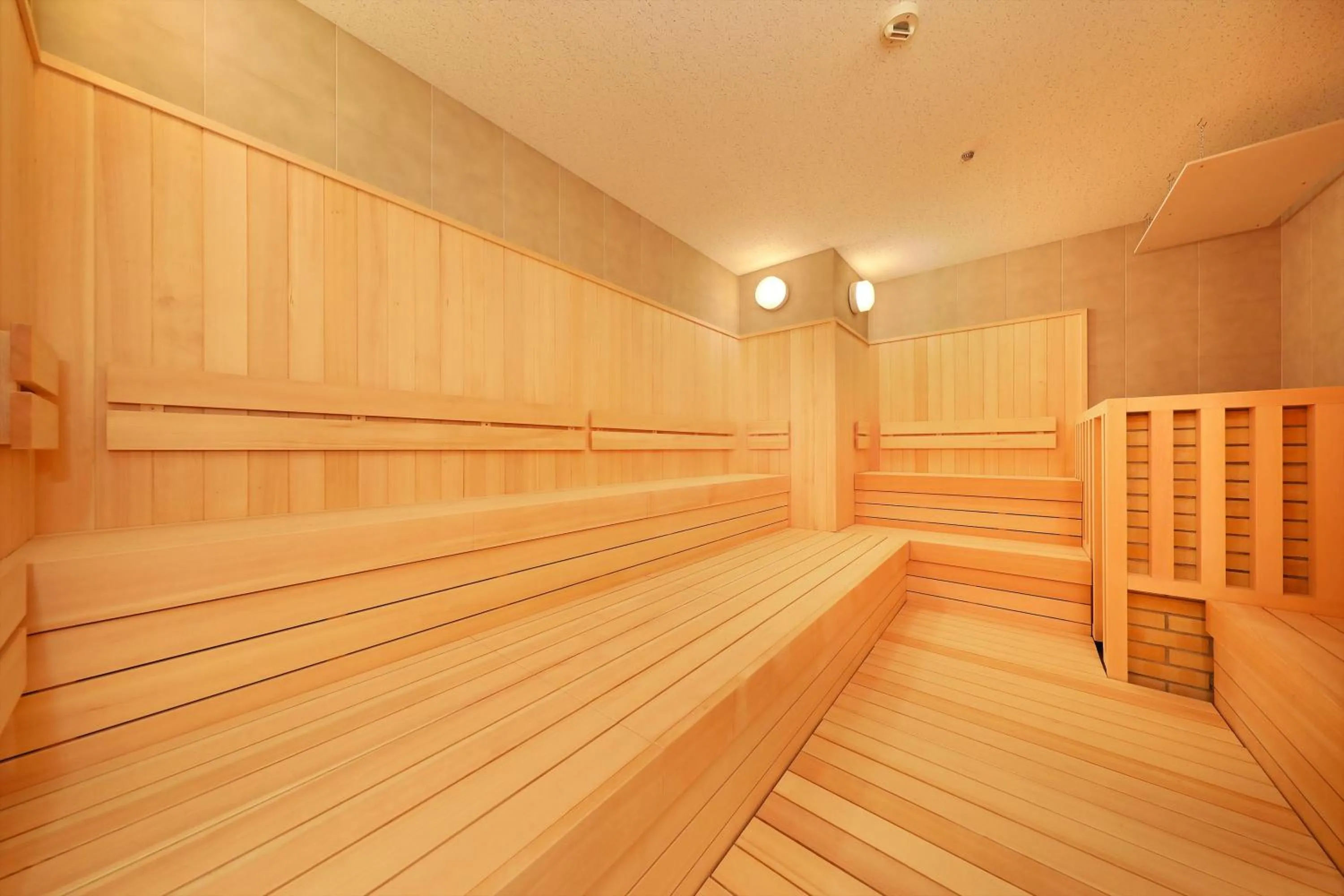 Sauna in Hakone Kowakien Tenyu