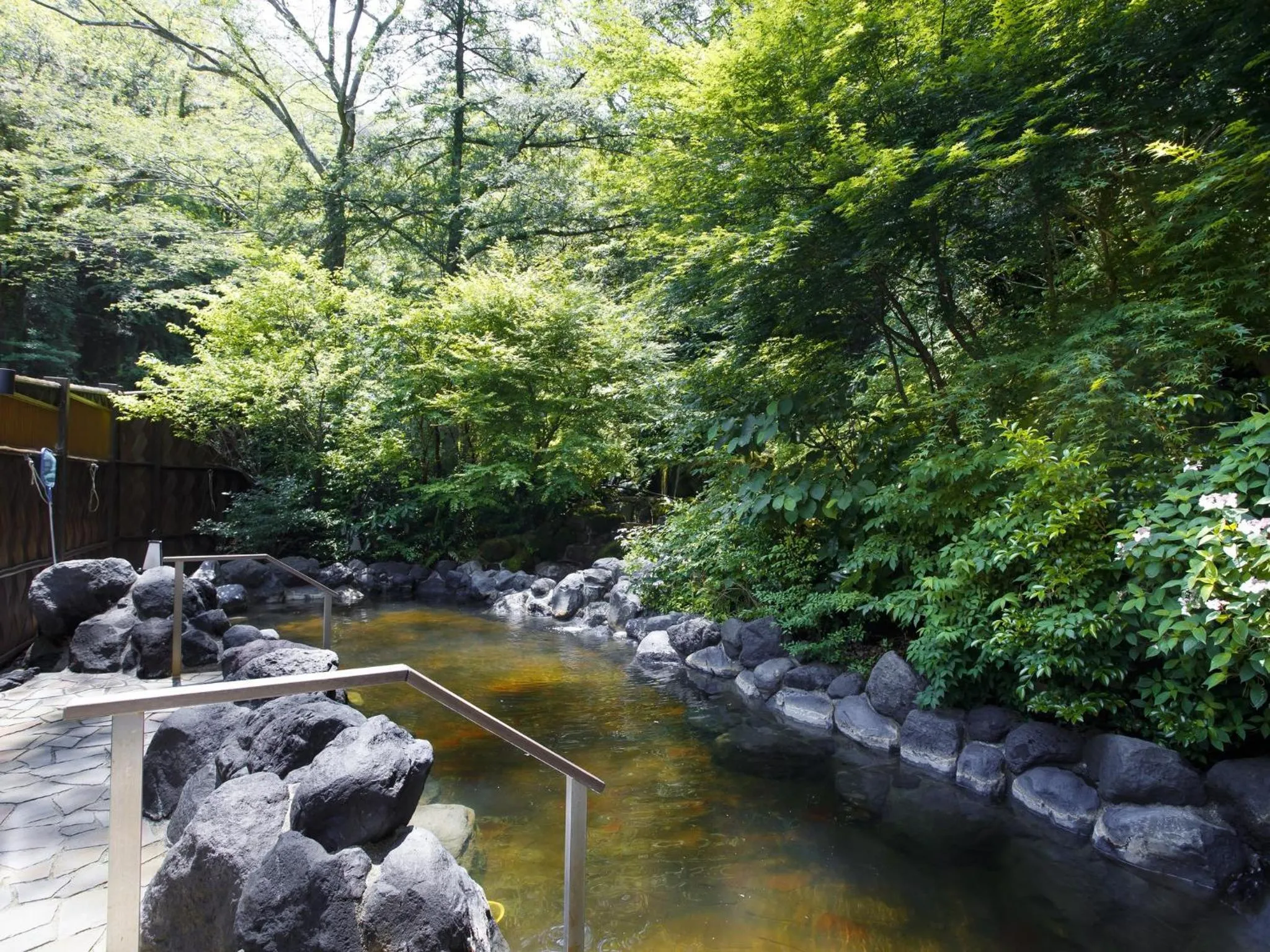 View (from property/room) in Hakone Kowakien Tenyu
