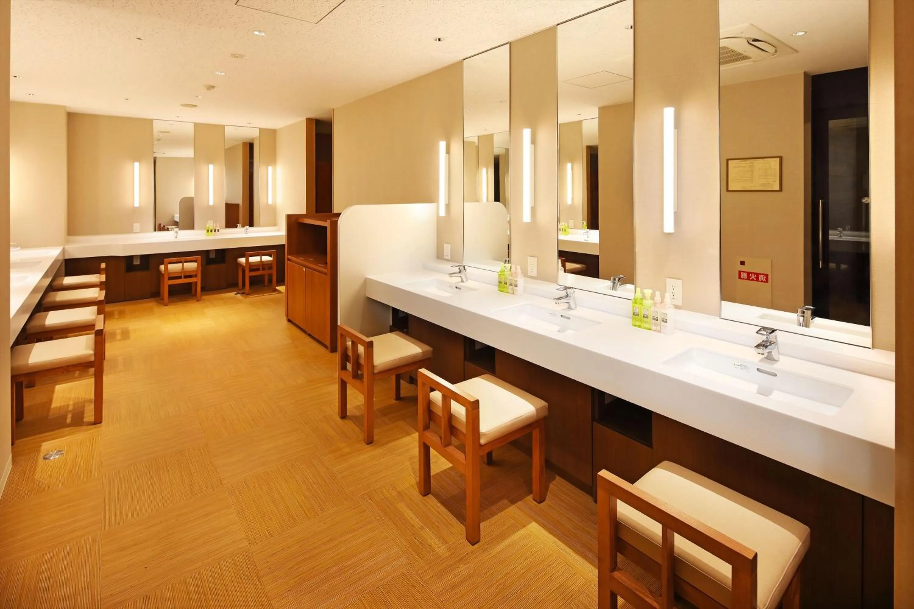 Public Bath in Hakone Kowakien Tenyu