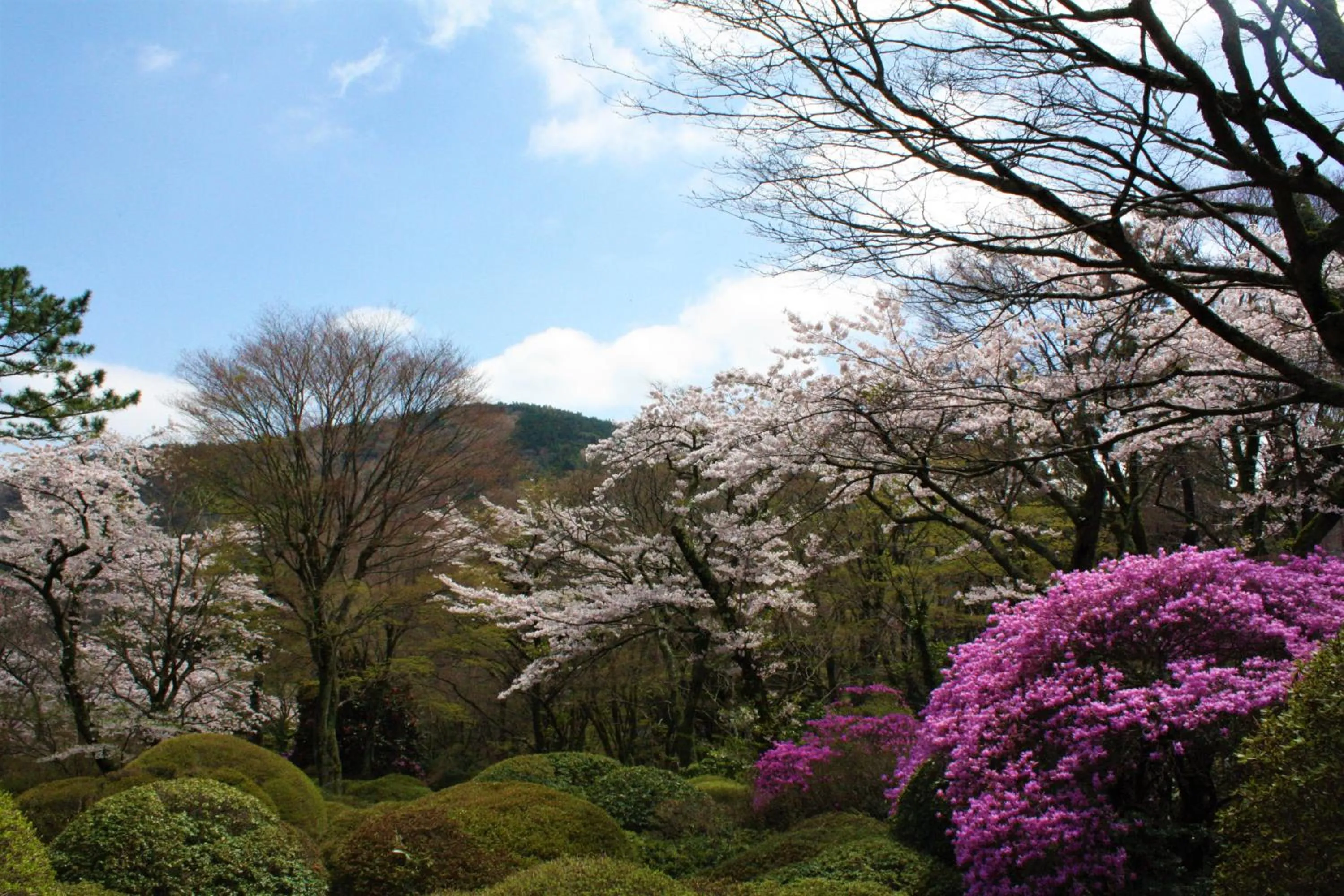 Nearby landmark in Hakone Kowakien Tenyu