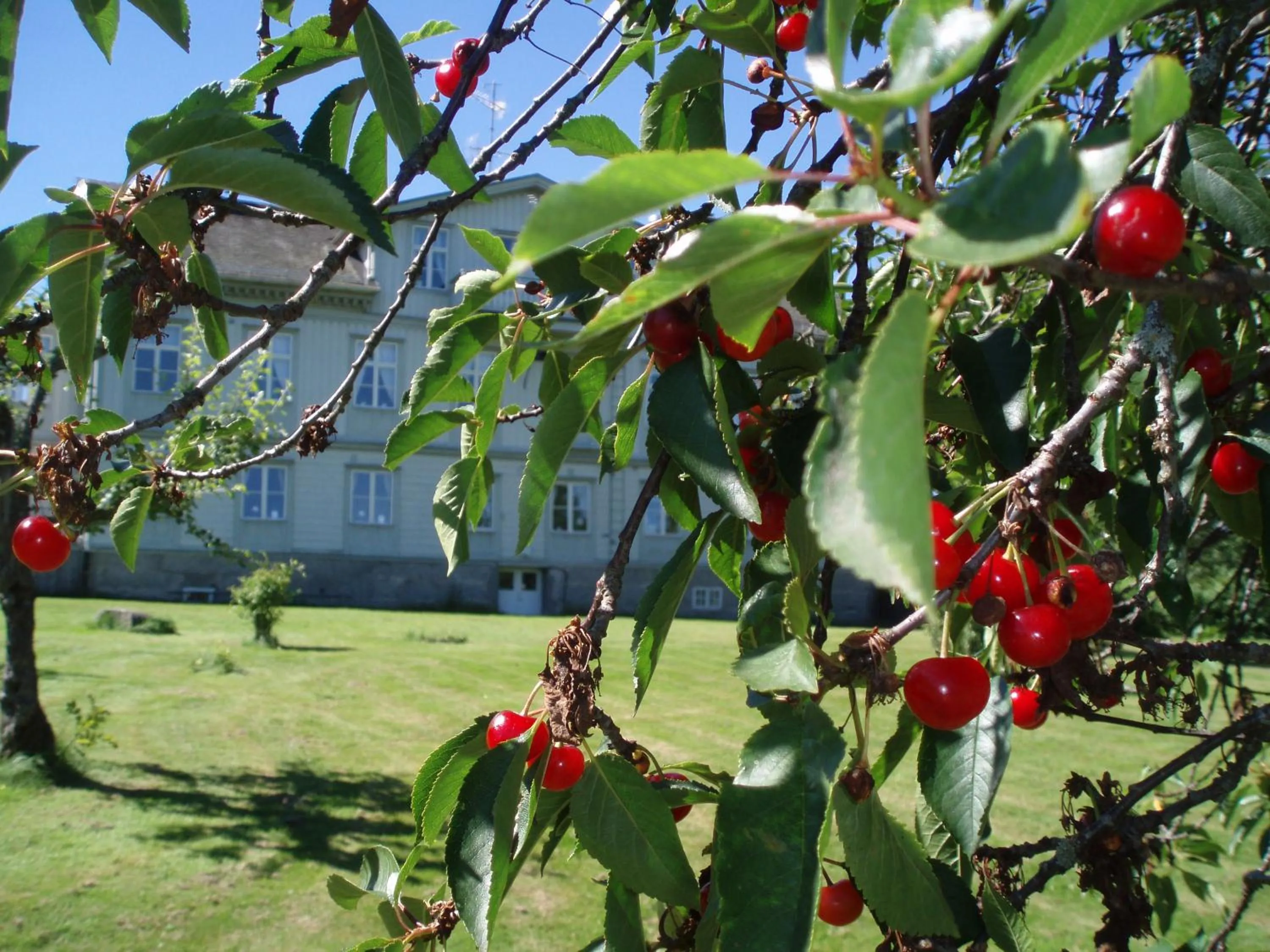 Day in Åkerby Herrgård