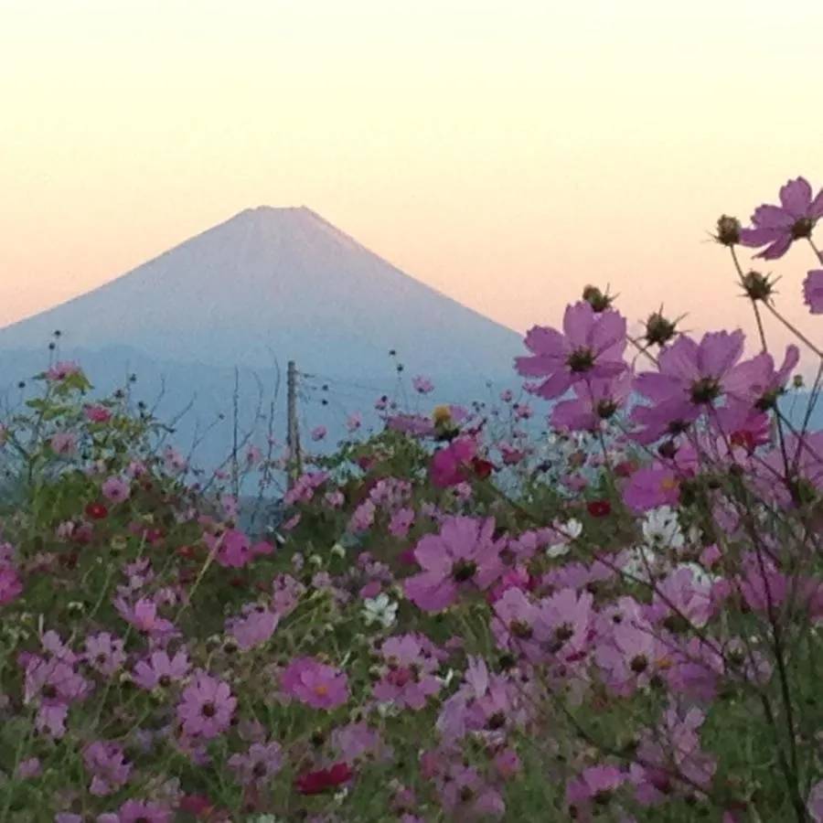 Nearby landmark in Twin Dome Ryugu