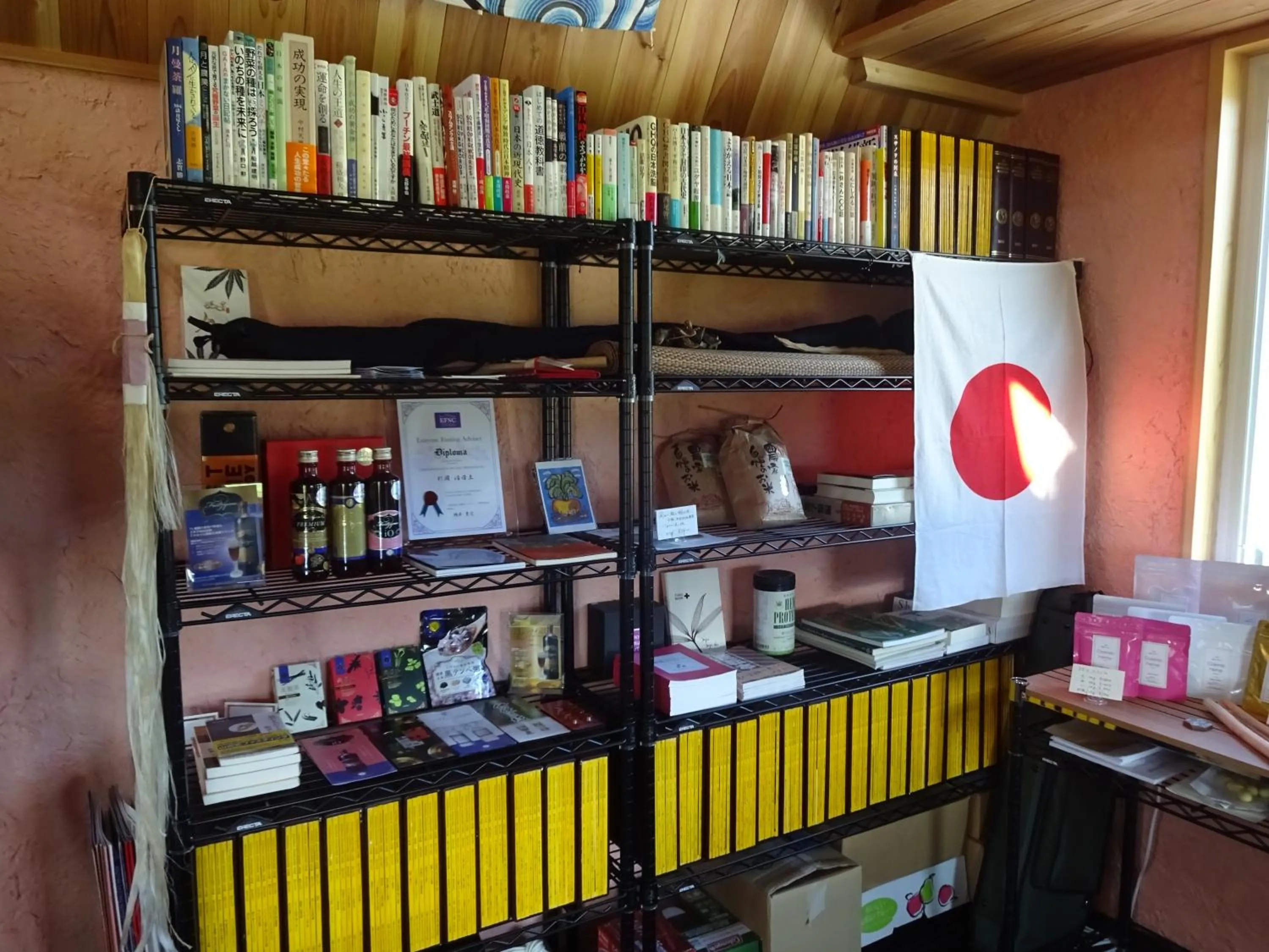 Library in Twin Dome Ryugu