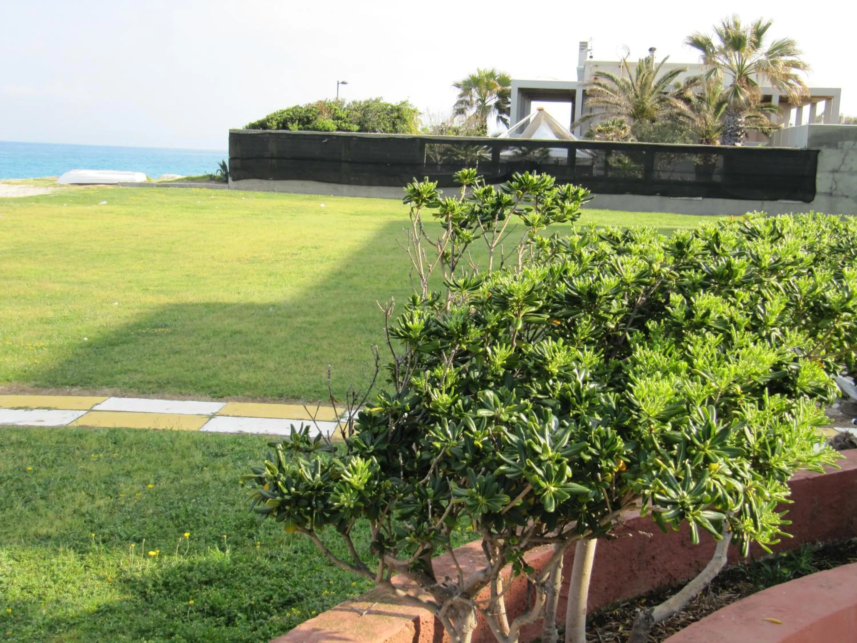 Garden in Hotel South Paradise