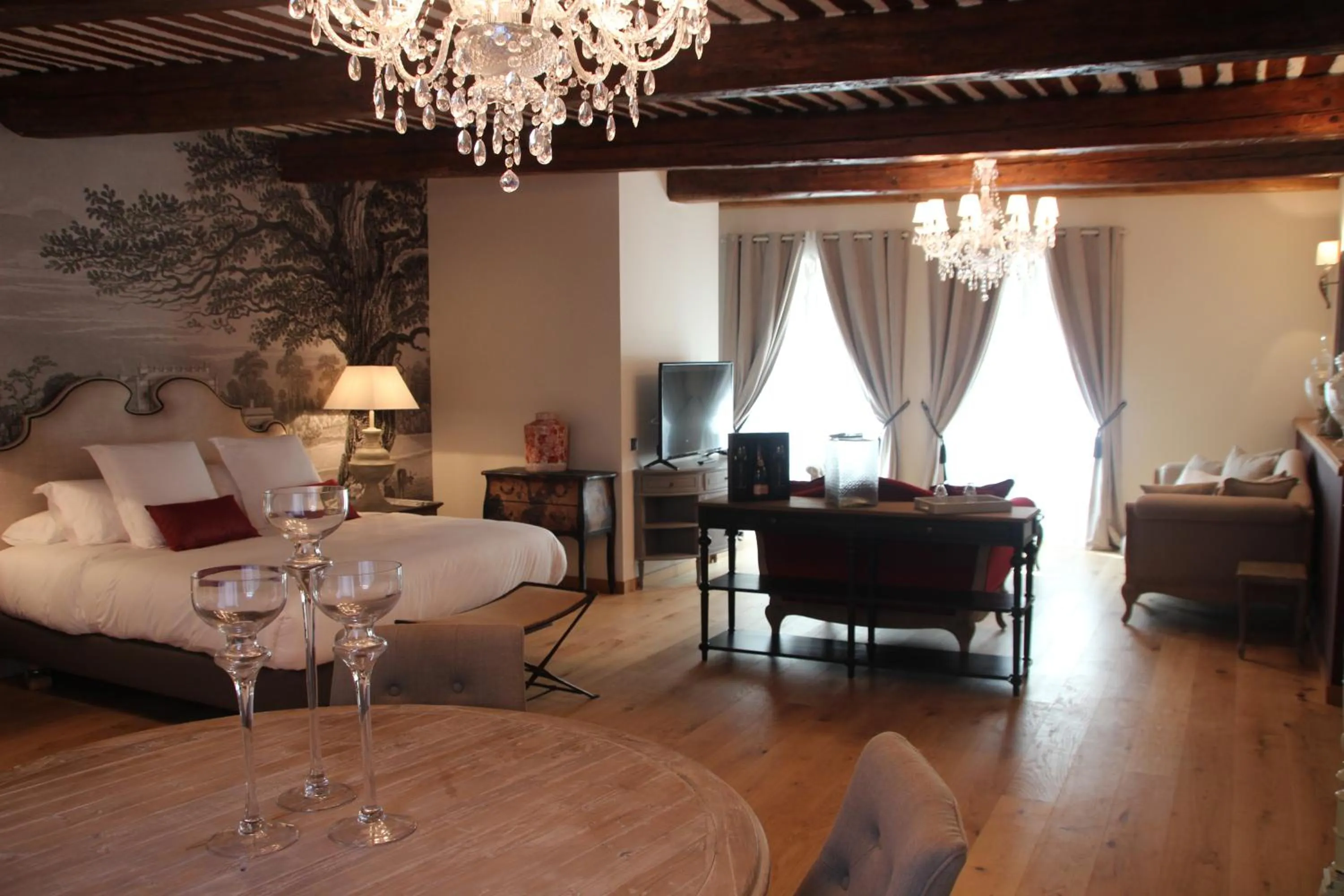 TV and multimedia in Maison d'Hôtes Les Variétés