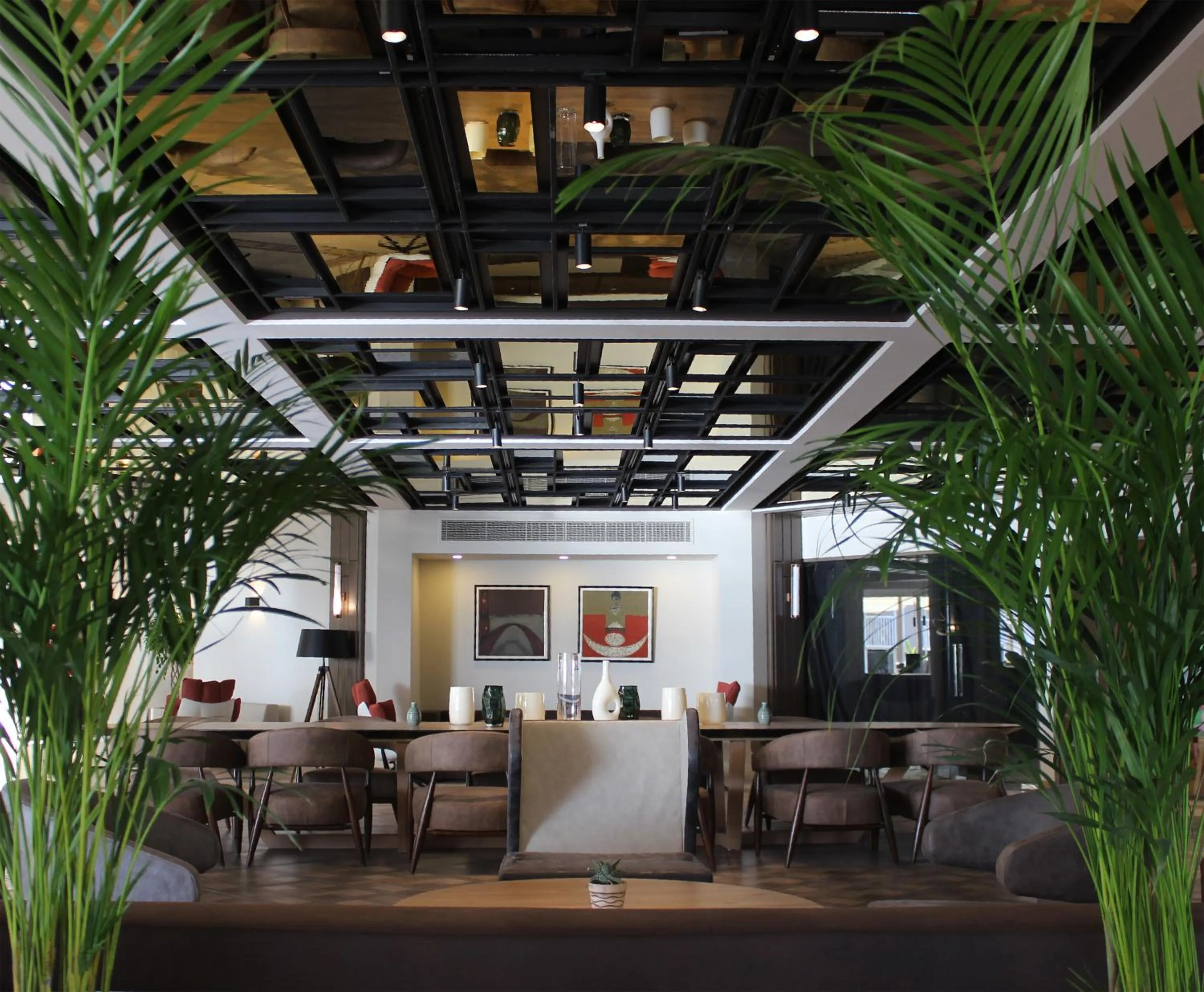 Restaurant/places to eat in Paloma Perissia