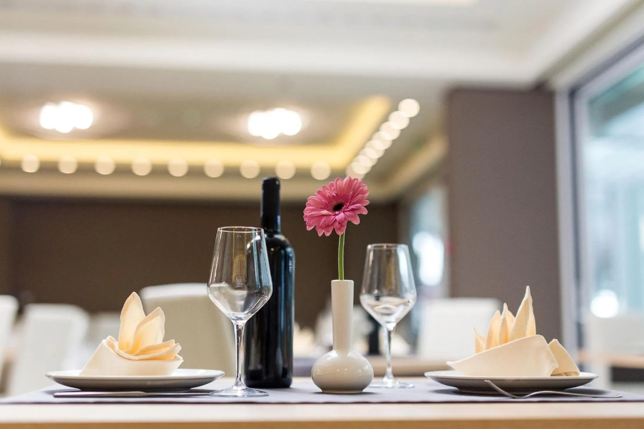 Food and drinks in Hotel Crikvenica