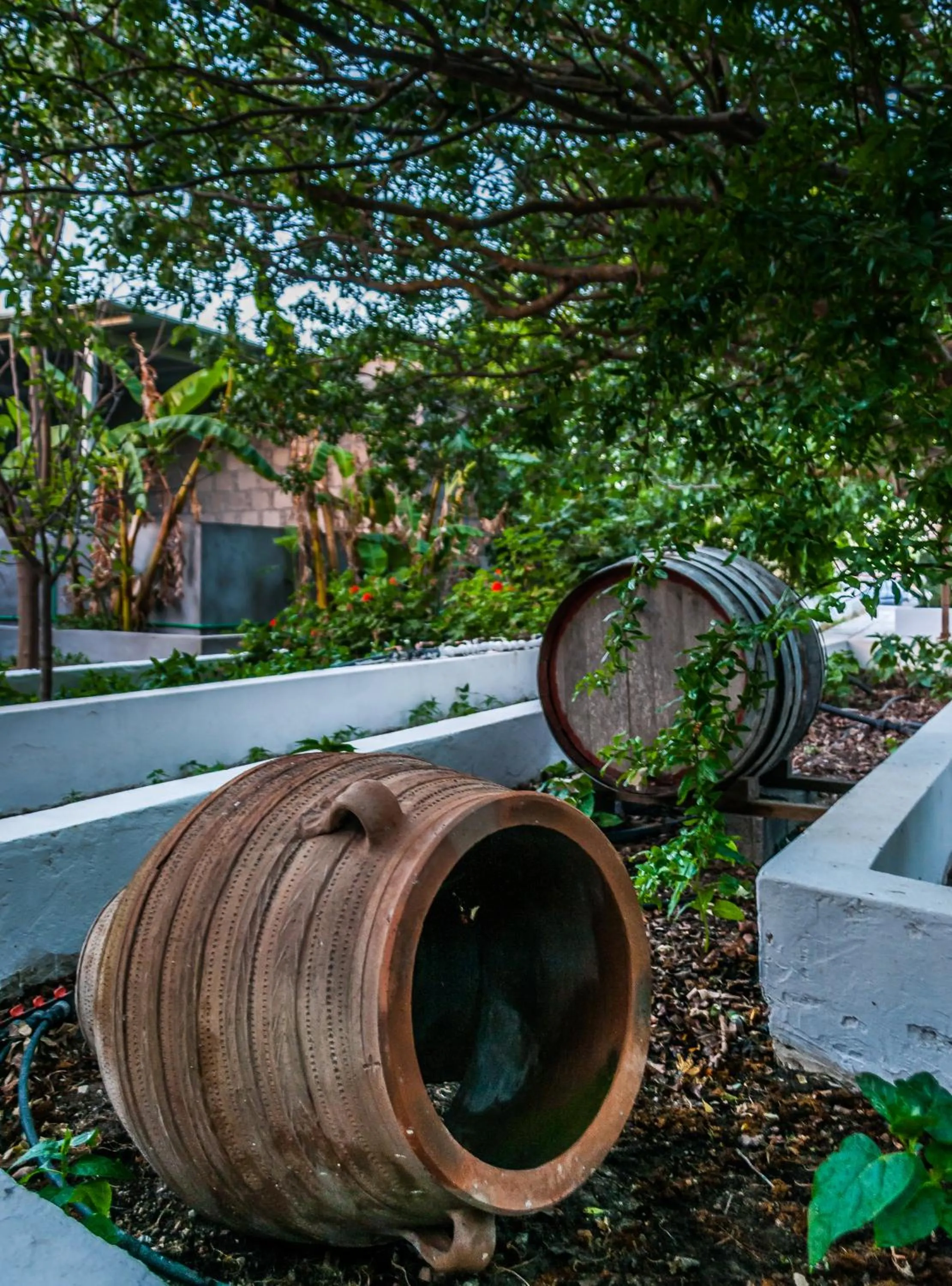 On site in Melagrana