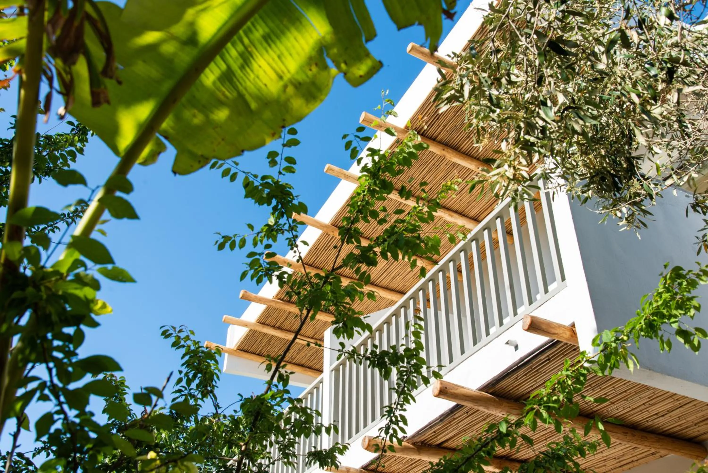 Property building in Melagrana