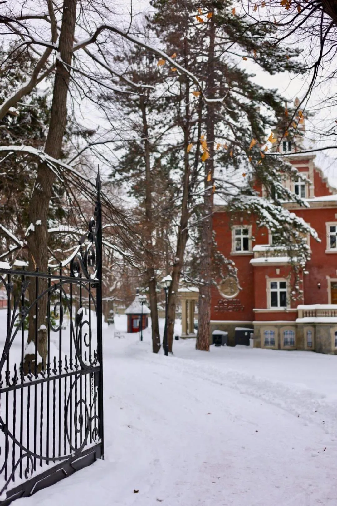 Hotel Dębowy Biowellness & SPA Góry Sowie