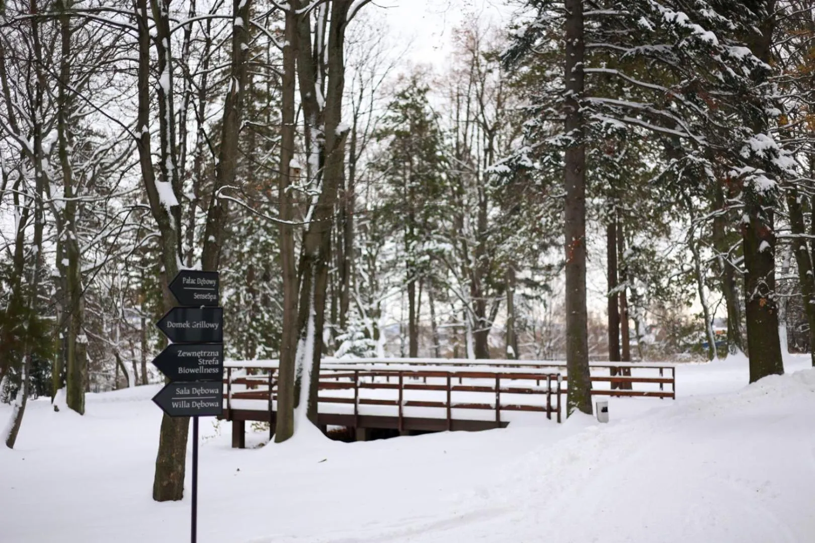 Hotel Dębowy Biowellness & SPA Góry Sowie