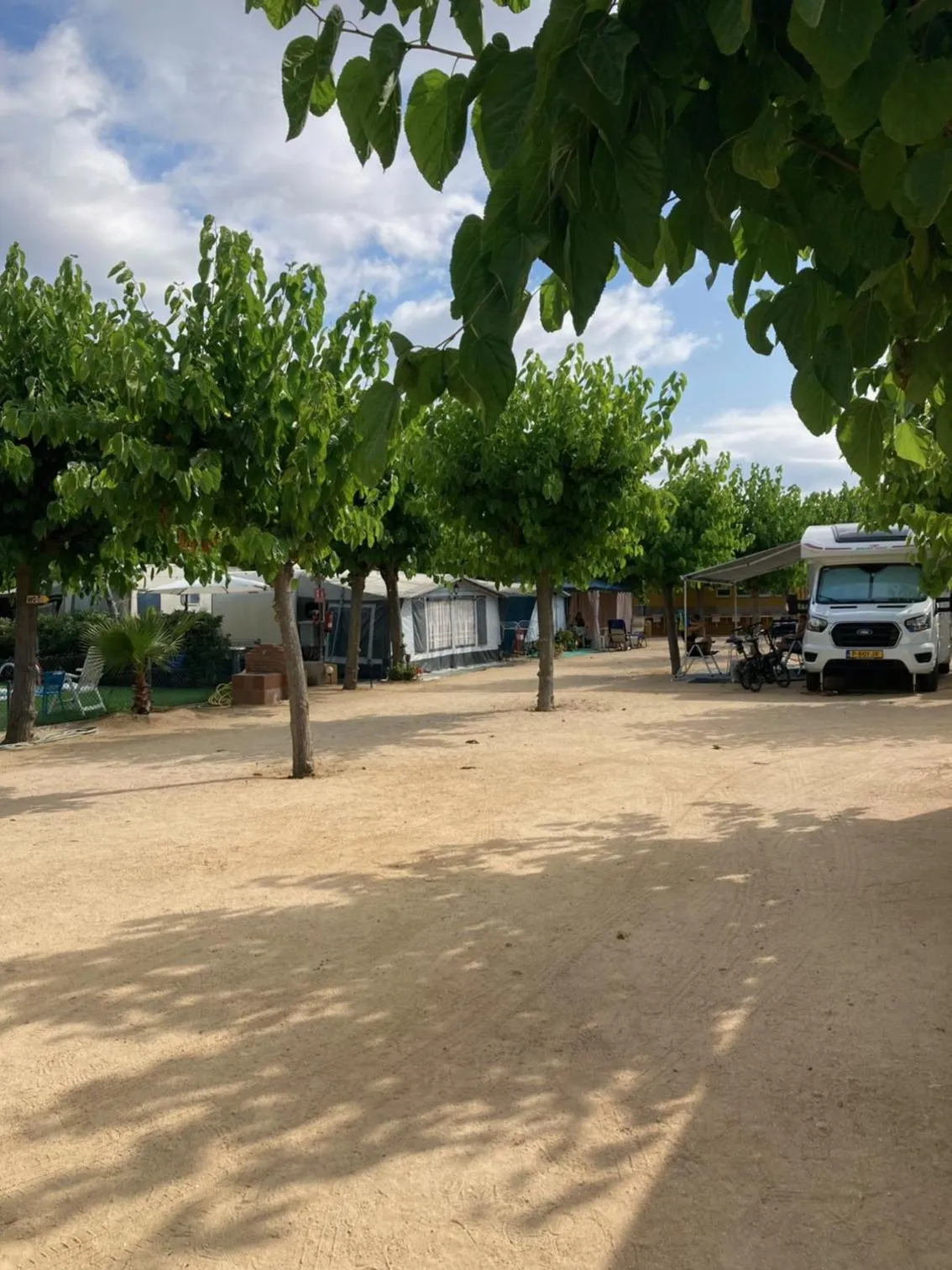 Day in Camping el Pinar Platja