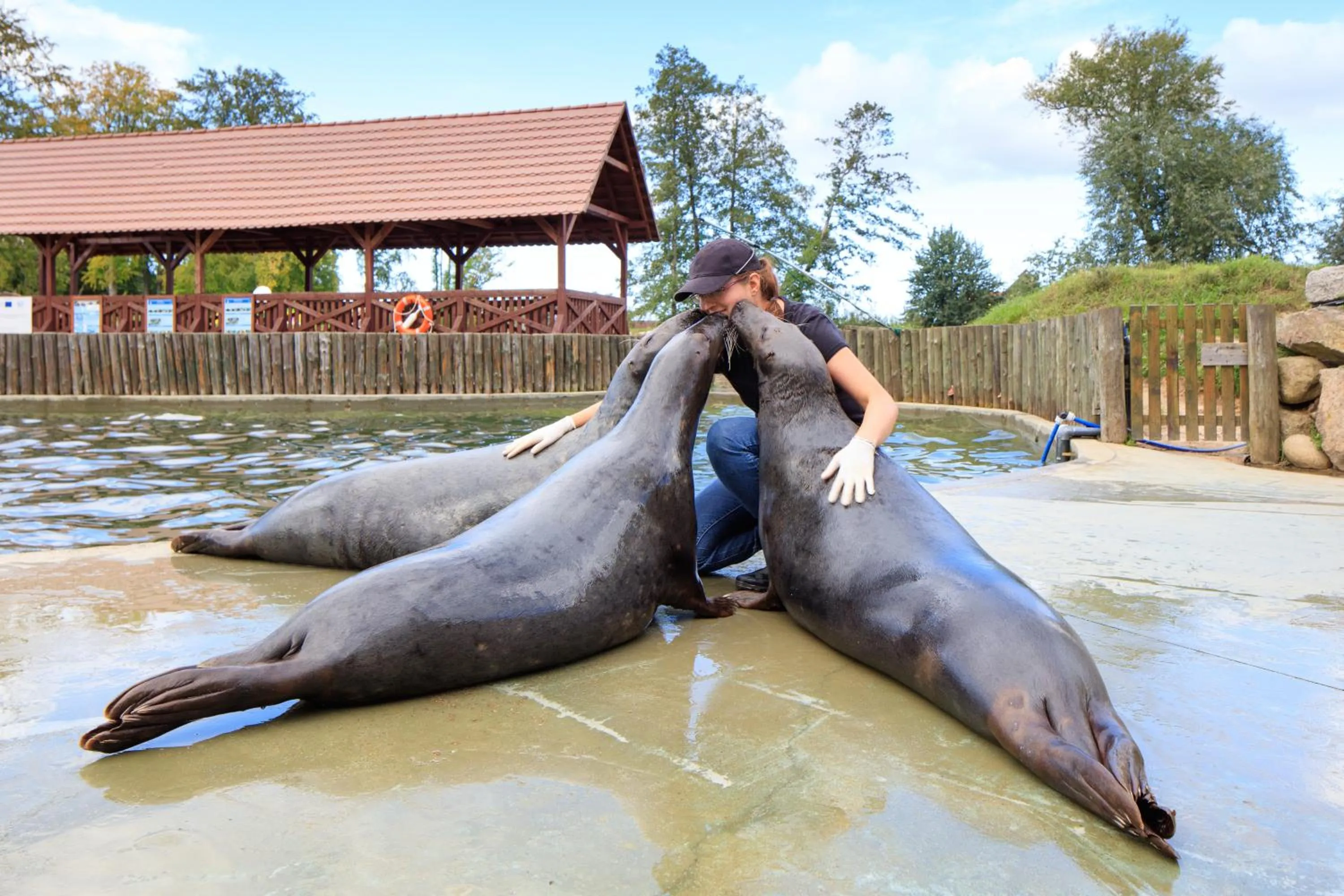 Dolina Charlotty Resort&Spa