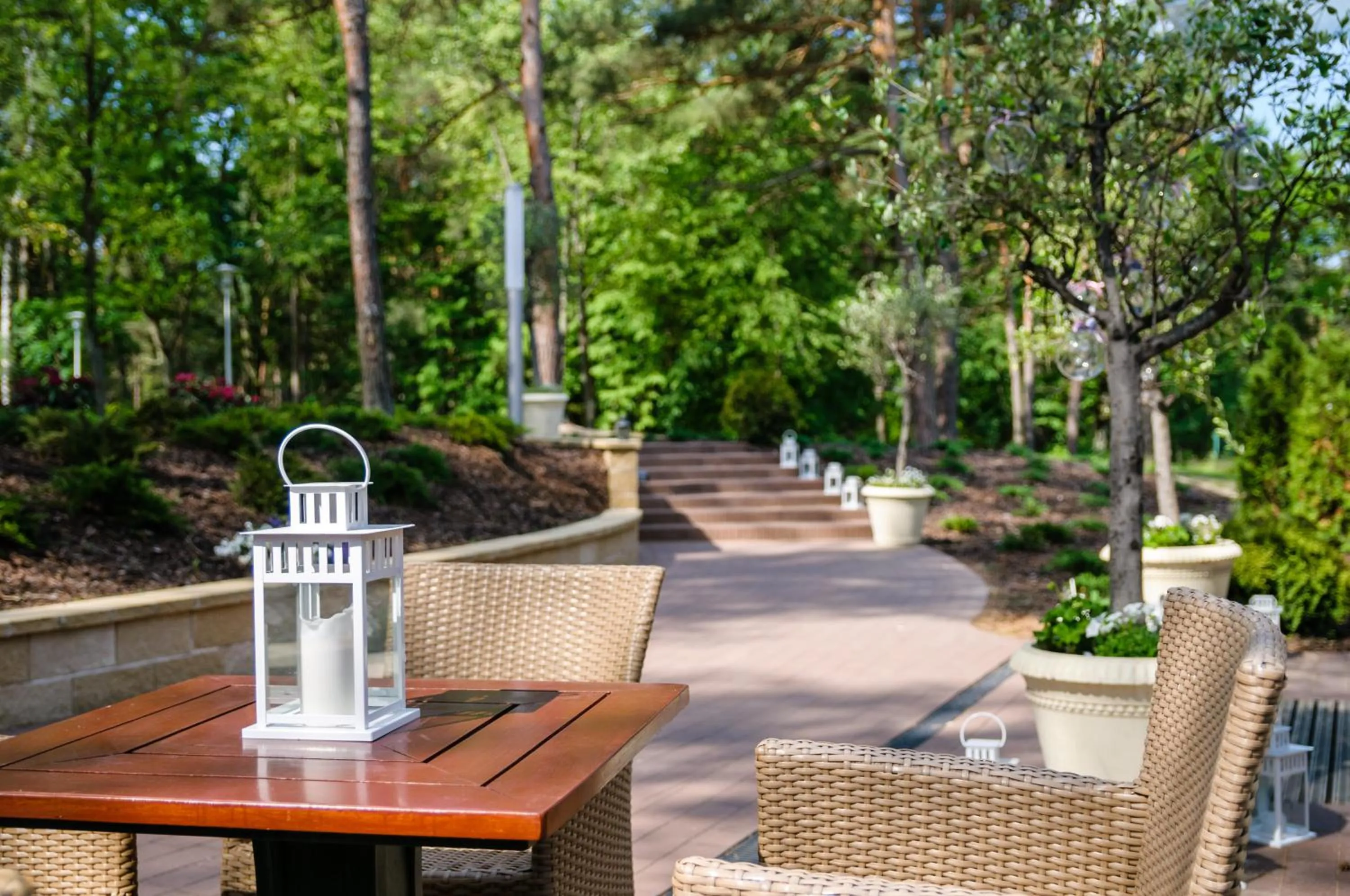 Natural landscape in Park Rekreacyjno-Biznesowy Las Woda