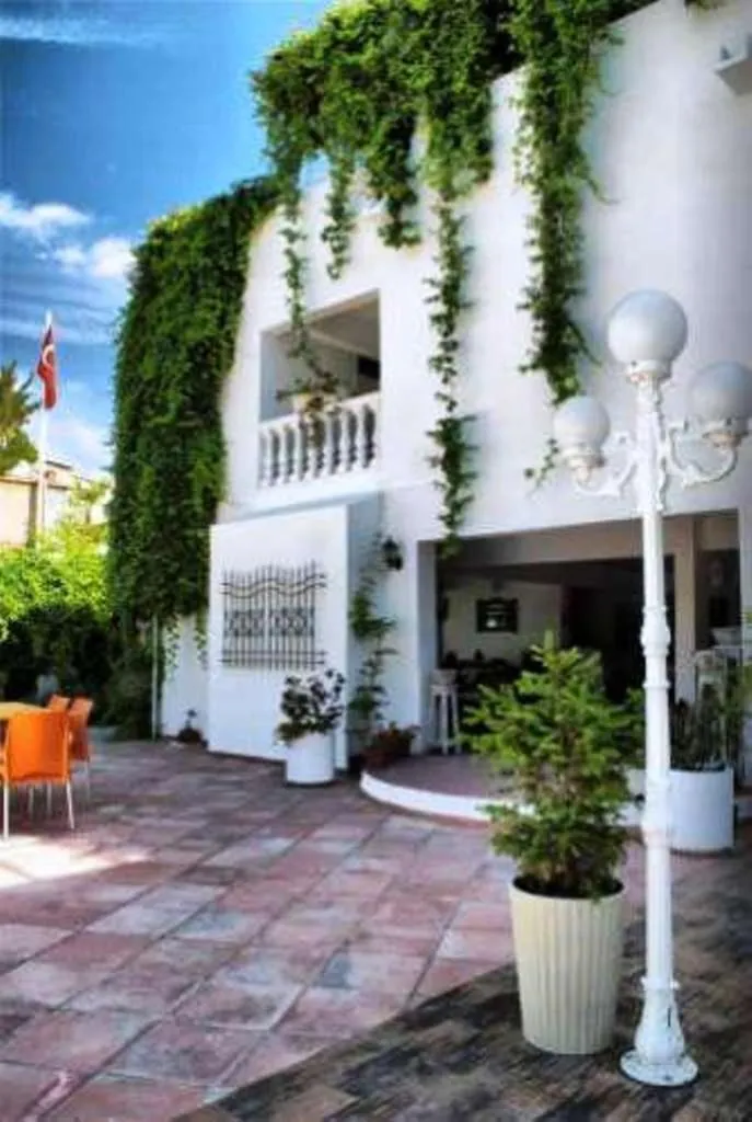 Garden in Hotel Golden Gate