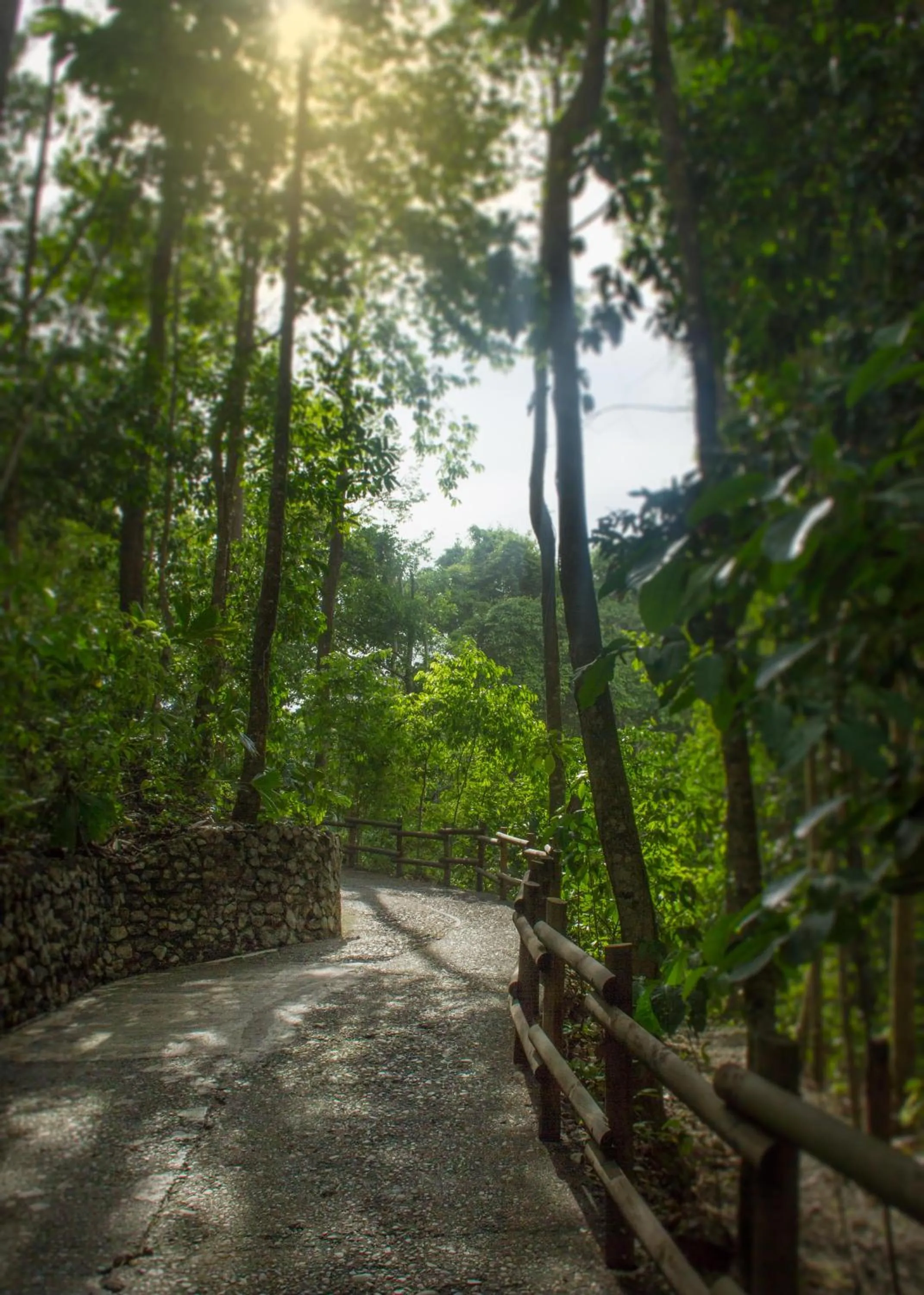 Garden in Arenas Del Mar Beachfront & Rainforest Resort Member of the Cayuga Collection