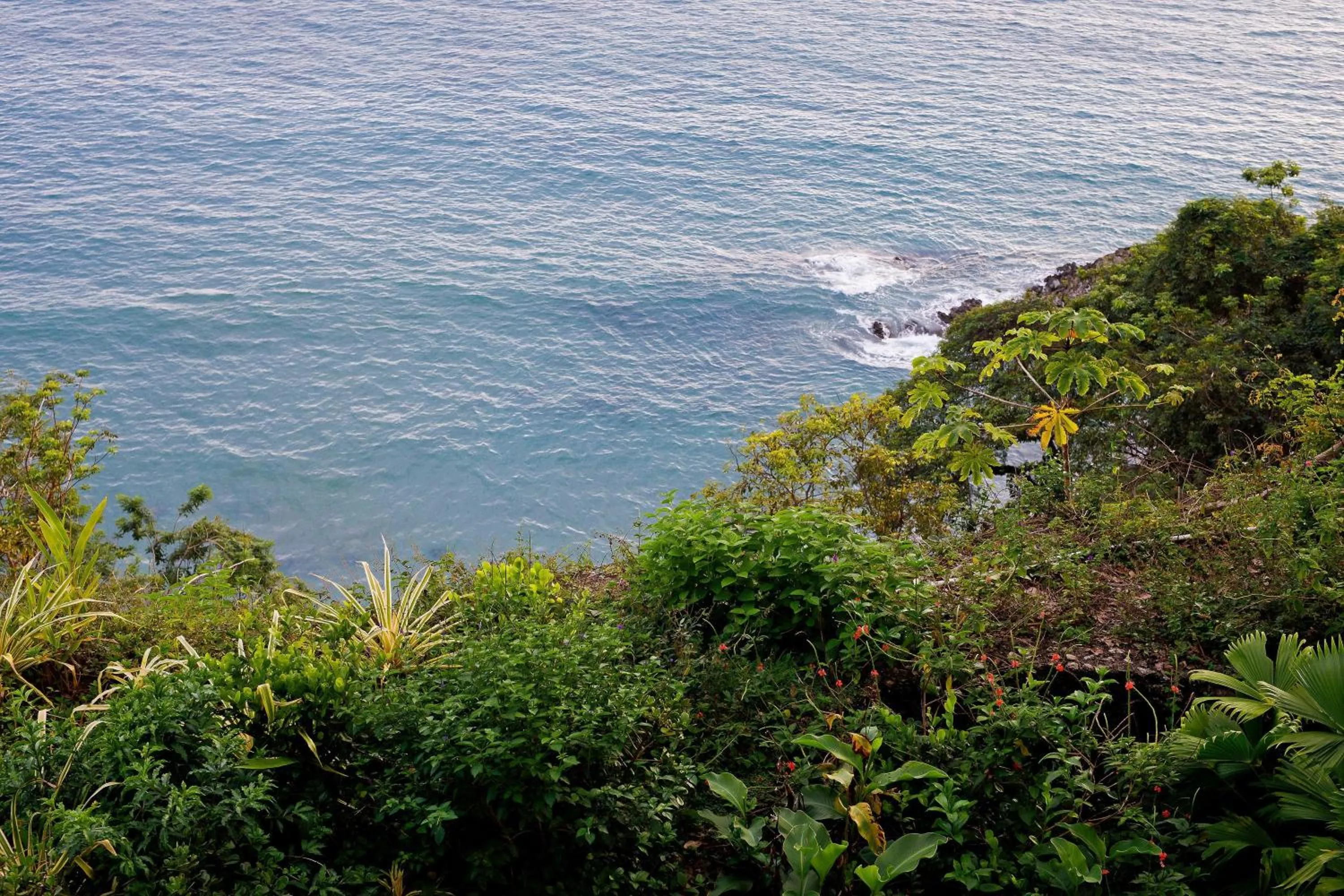 Natural landscape in Arenas Del Mar Beachfront & Rainforest Resort Member of the Cayuga Collection