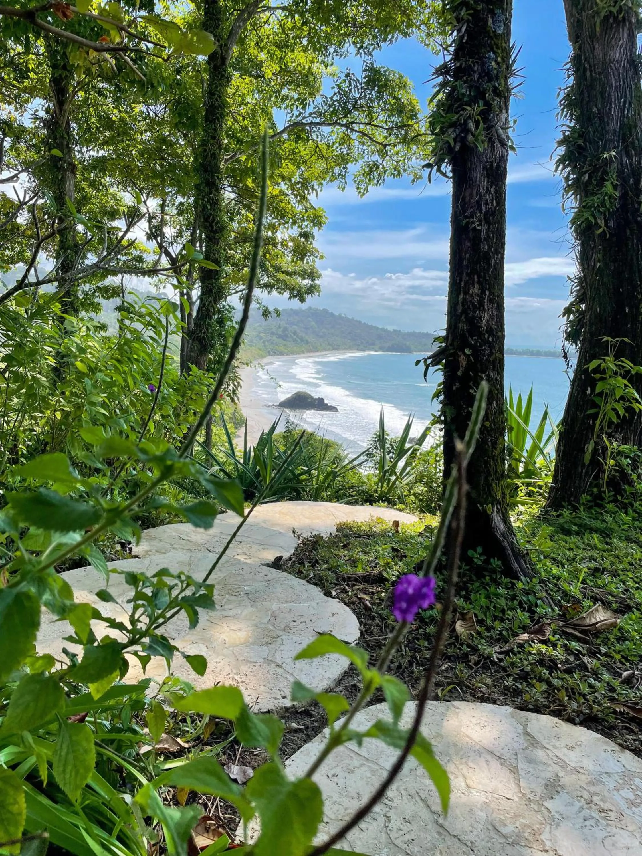 Natural landscape in Arenas Del Mar Beachfront & Rainforest Resort Member of the Cayuga Collection
