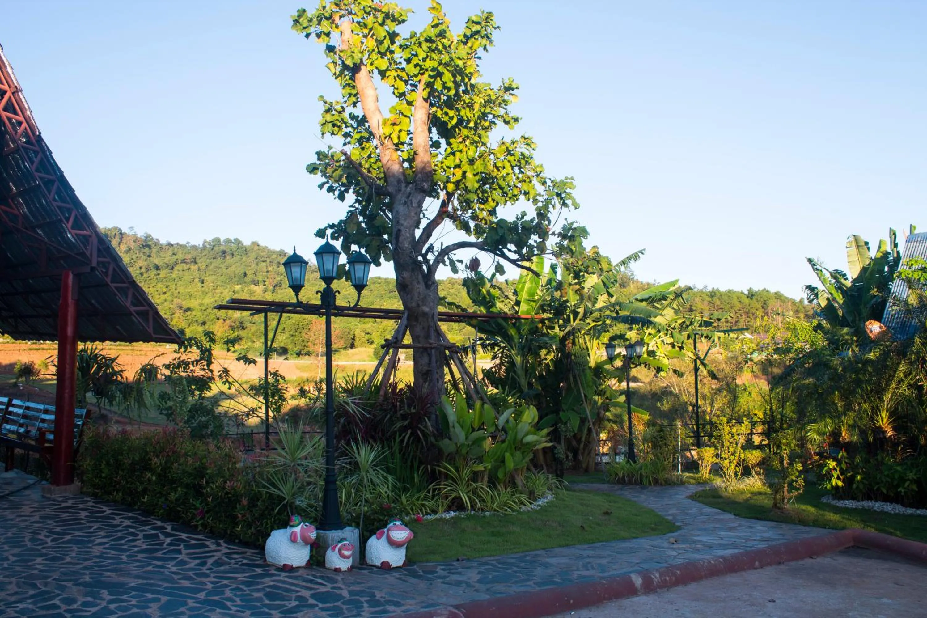 Property building in Phuphet Hill Resort