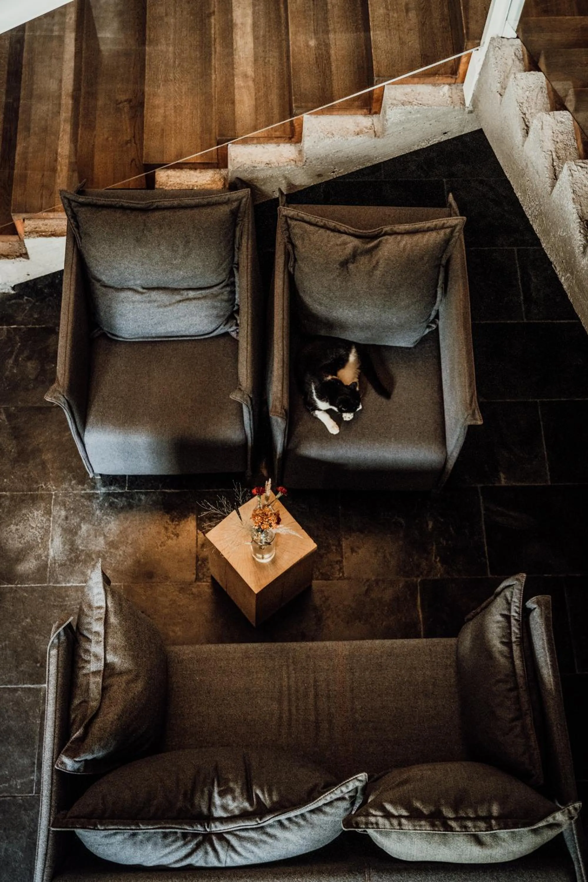 HOT_elarnia Hotel & Spa