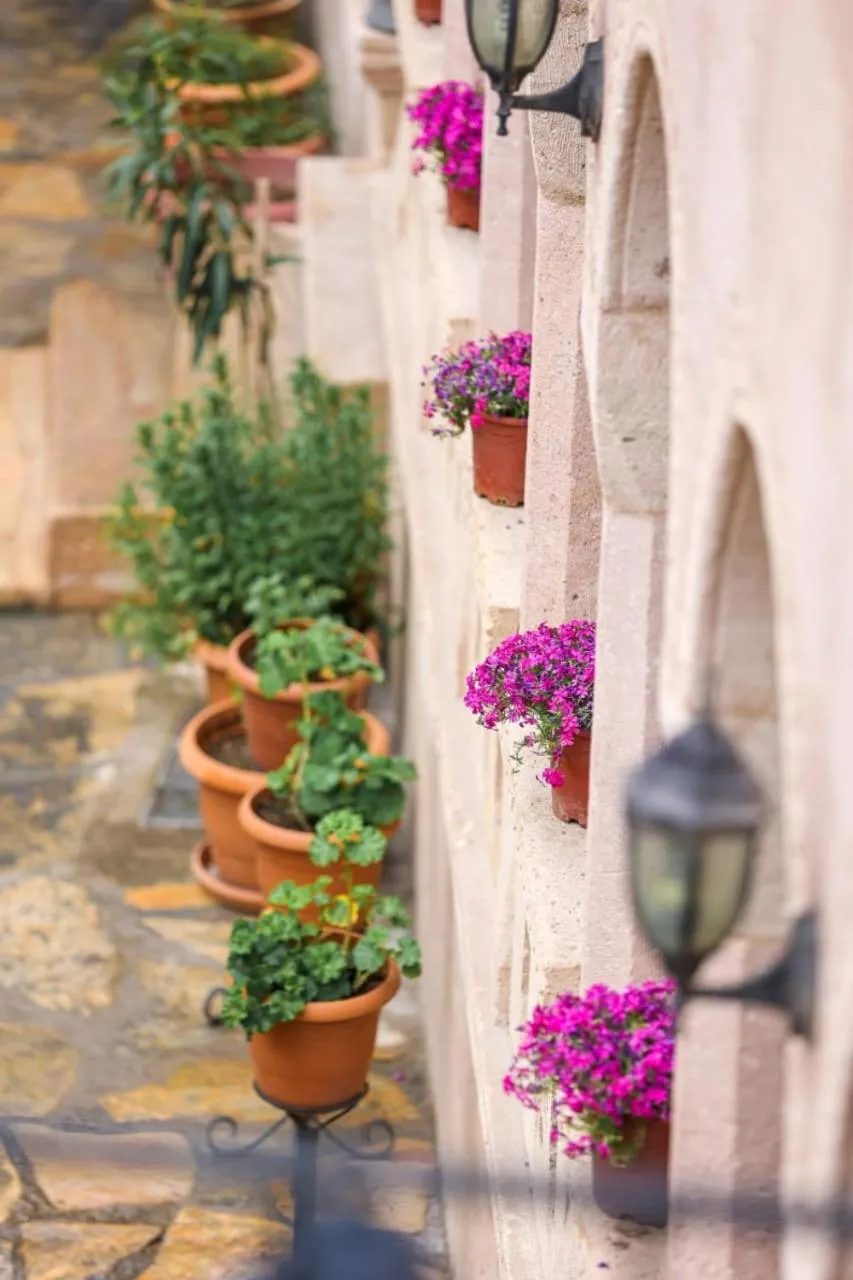 Inner courtyard view in Nature Park Cave Hotel