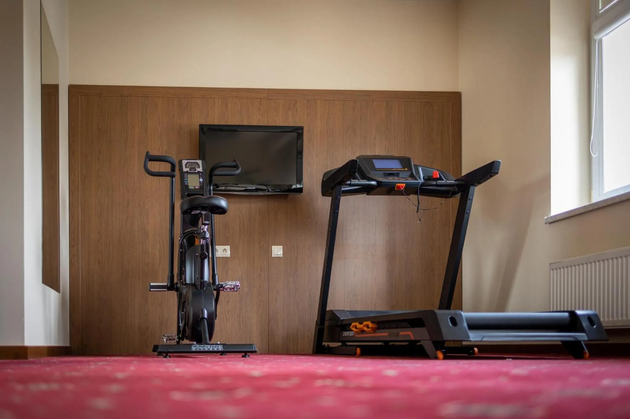 Fitness centre/facilities in Grein Hotel