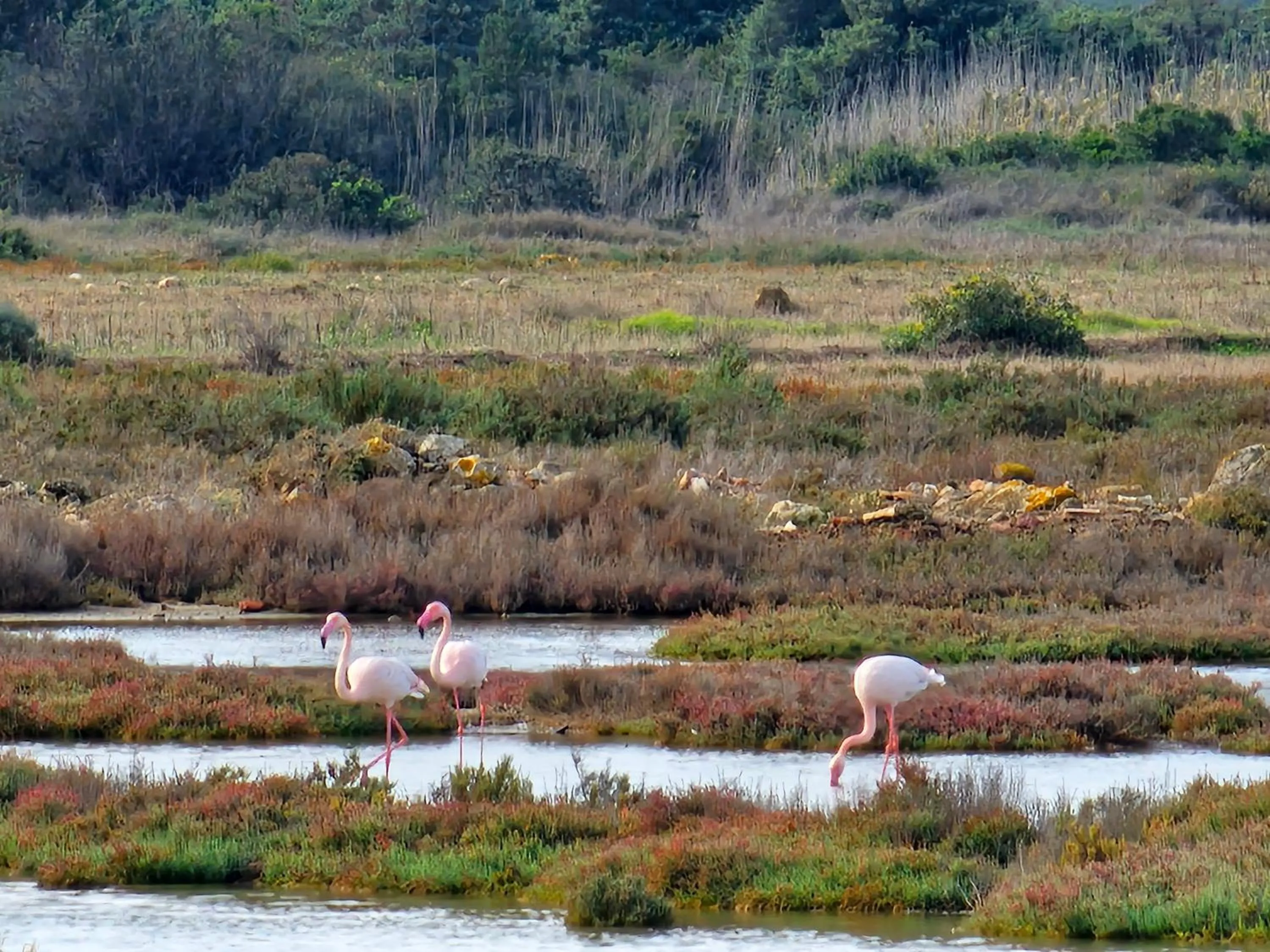 Agriturismo Is Solinas