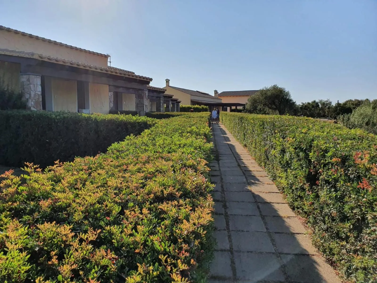 Agriturismo Is Solinas