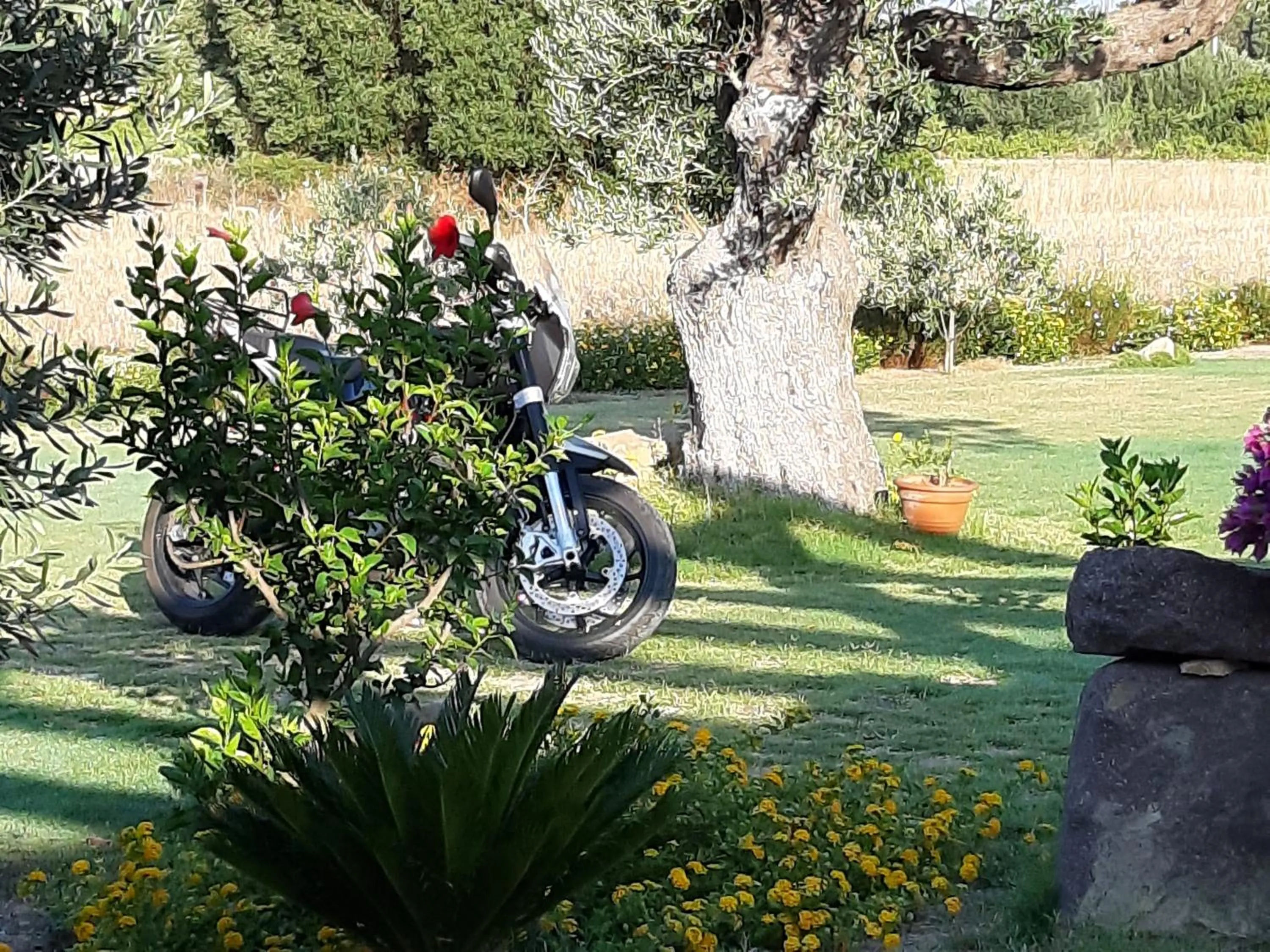 Agriturismo Is Solinas