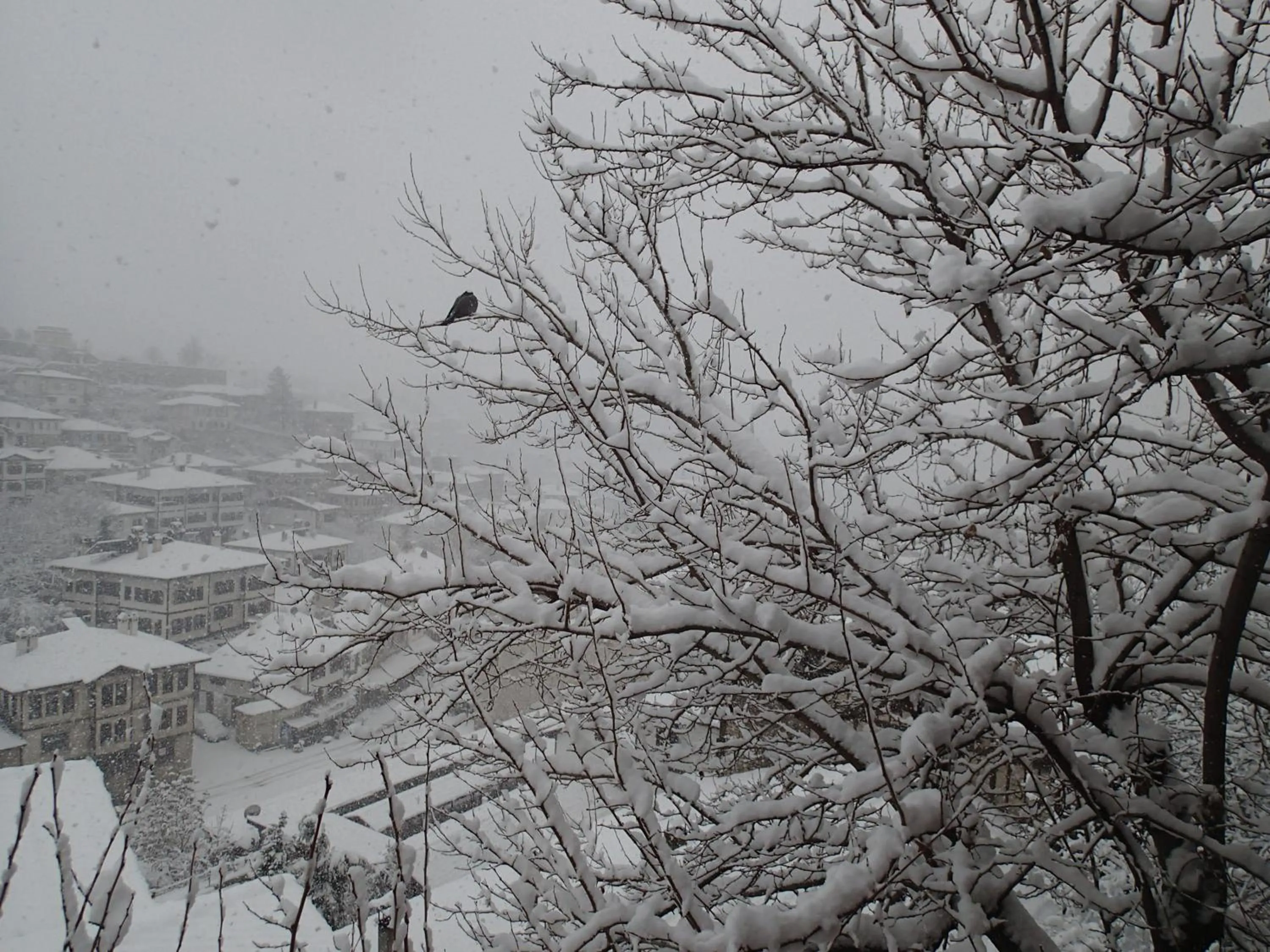 View (from property/room) in Efe Guest House