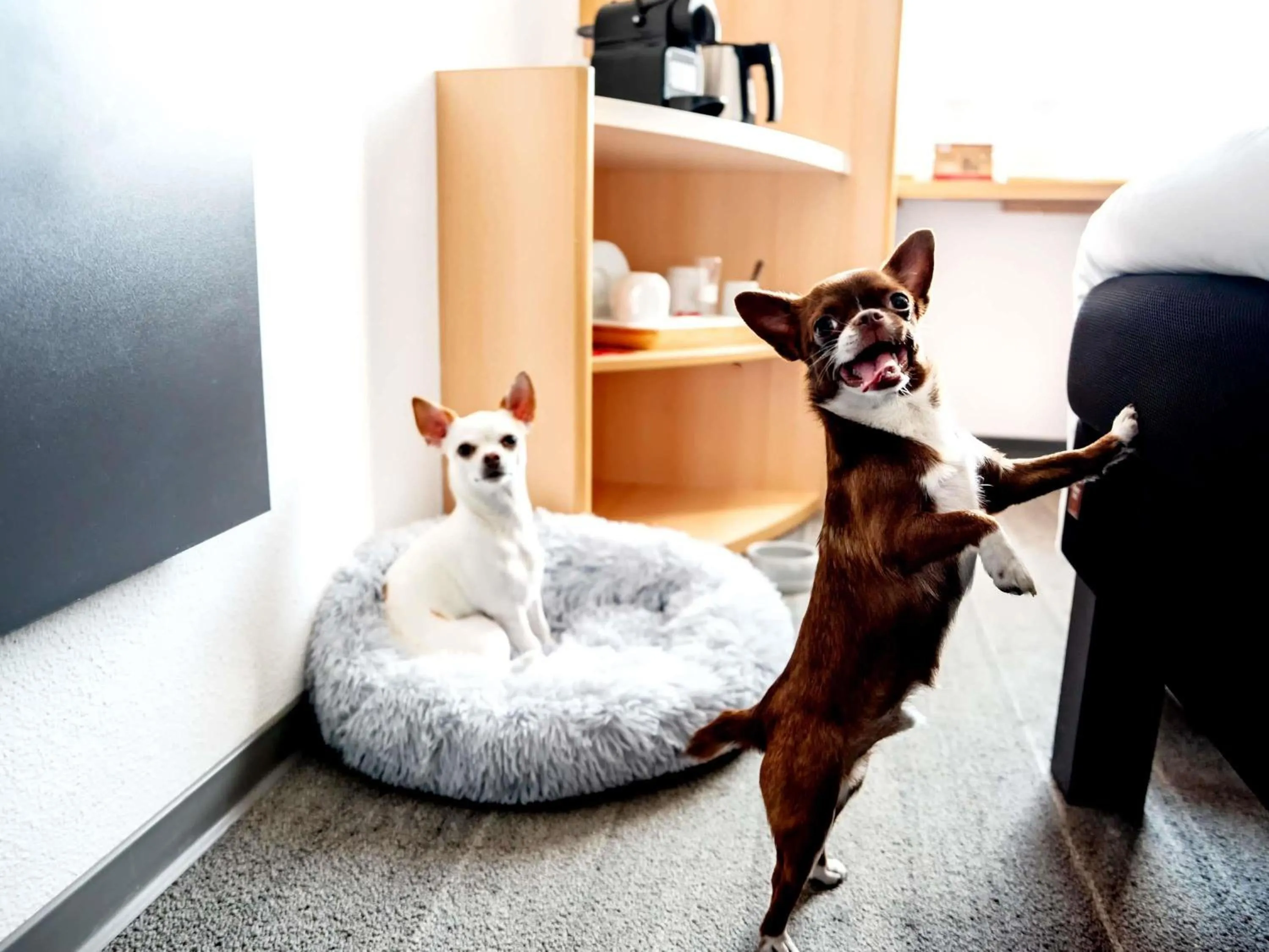Bedroom in Ibis Poznan Stare Miasto