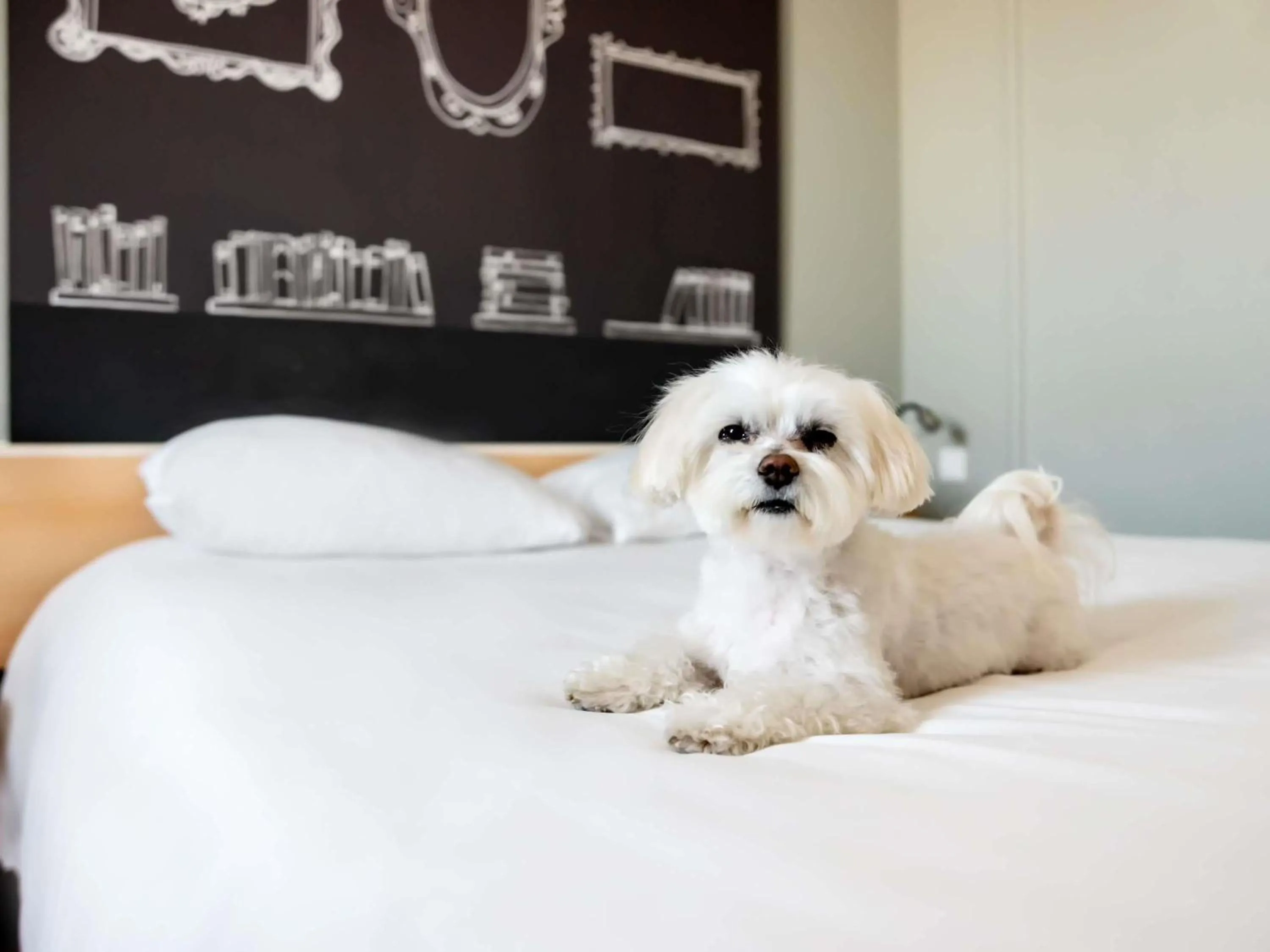 Bedroom, Bed in Ibis Poznan Stare Miasto