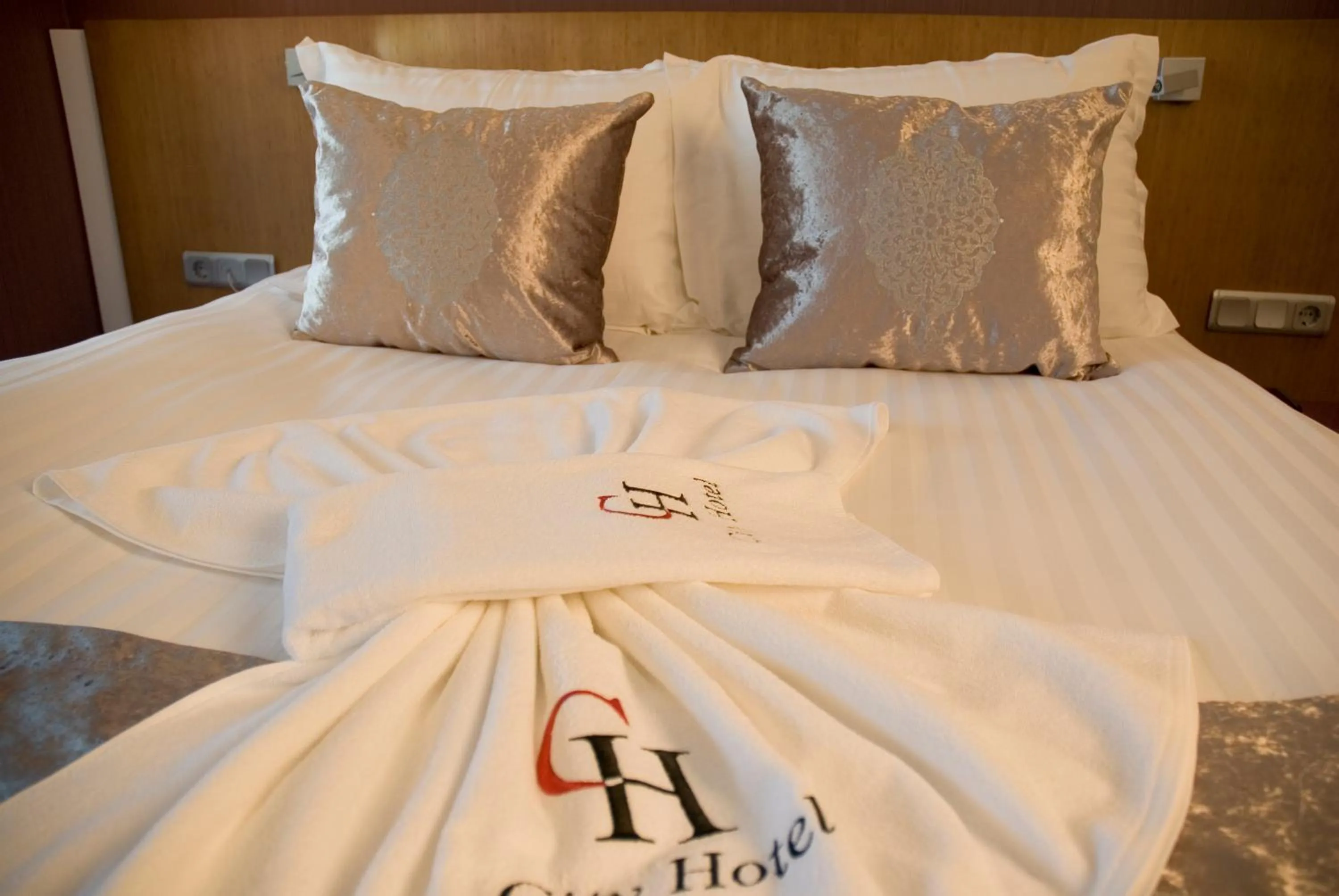 Massage, Bed in City Hotel Ankara