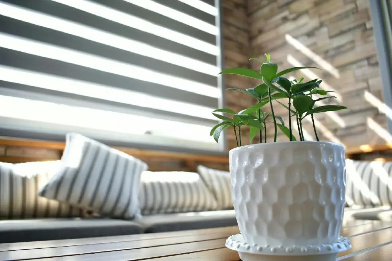 The Green Mile Field B&B The Green Mile Field B&B