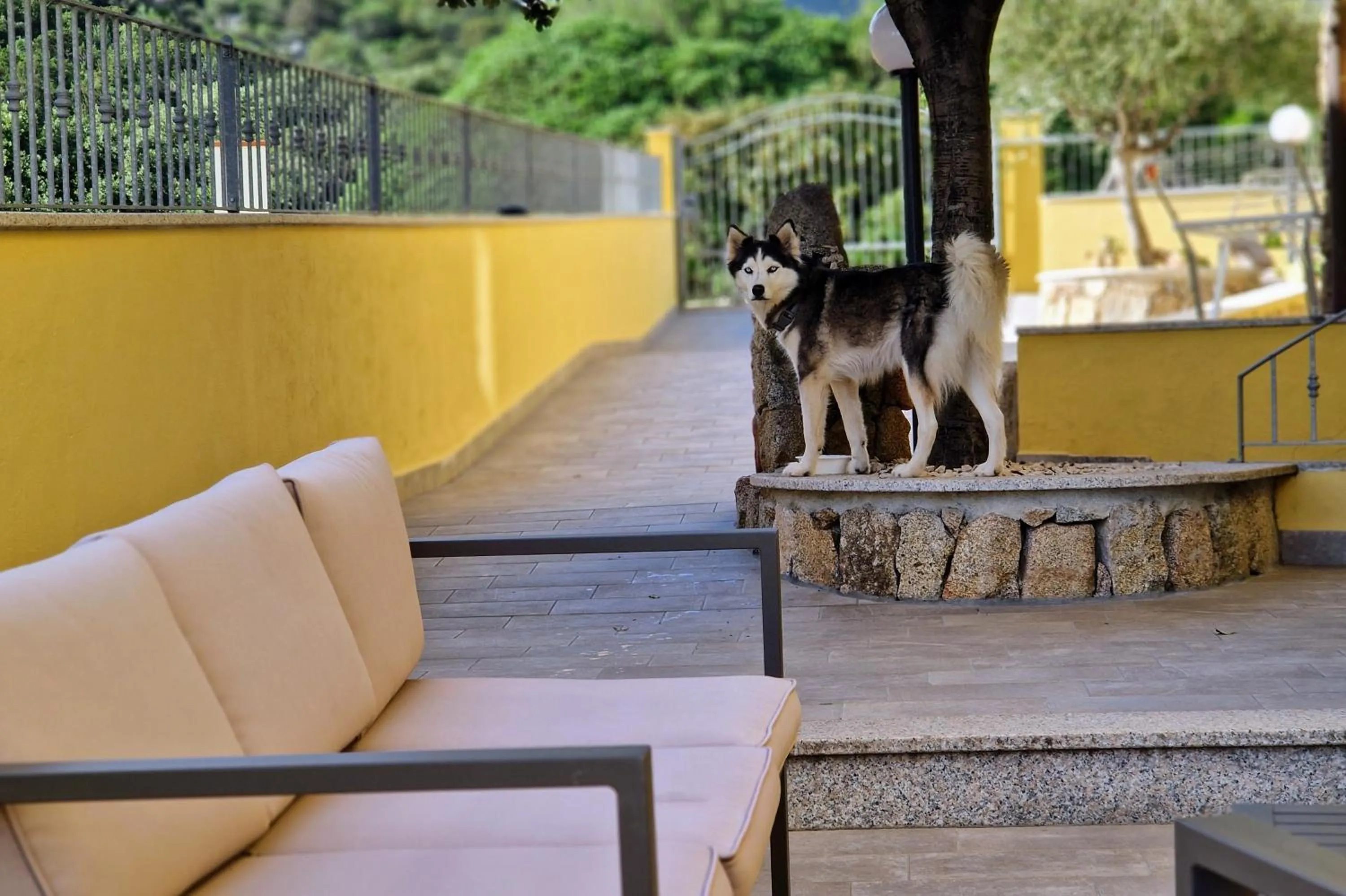 Patio in Sa Mamma e Sole B&B