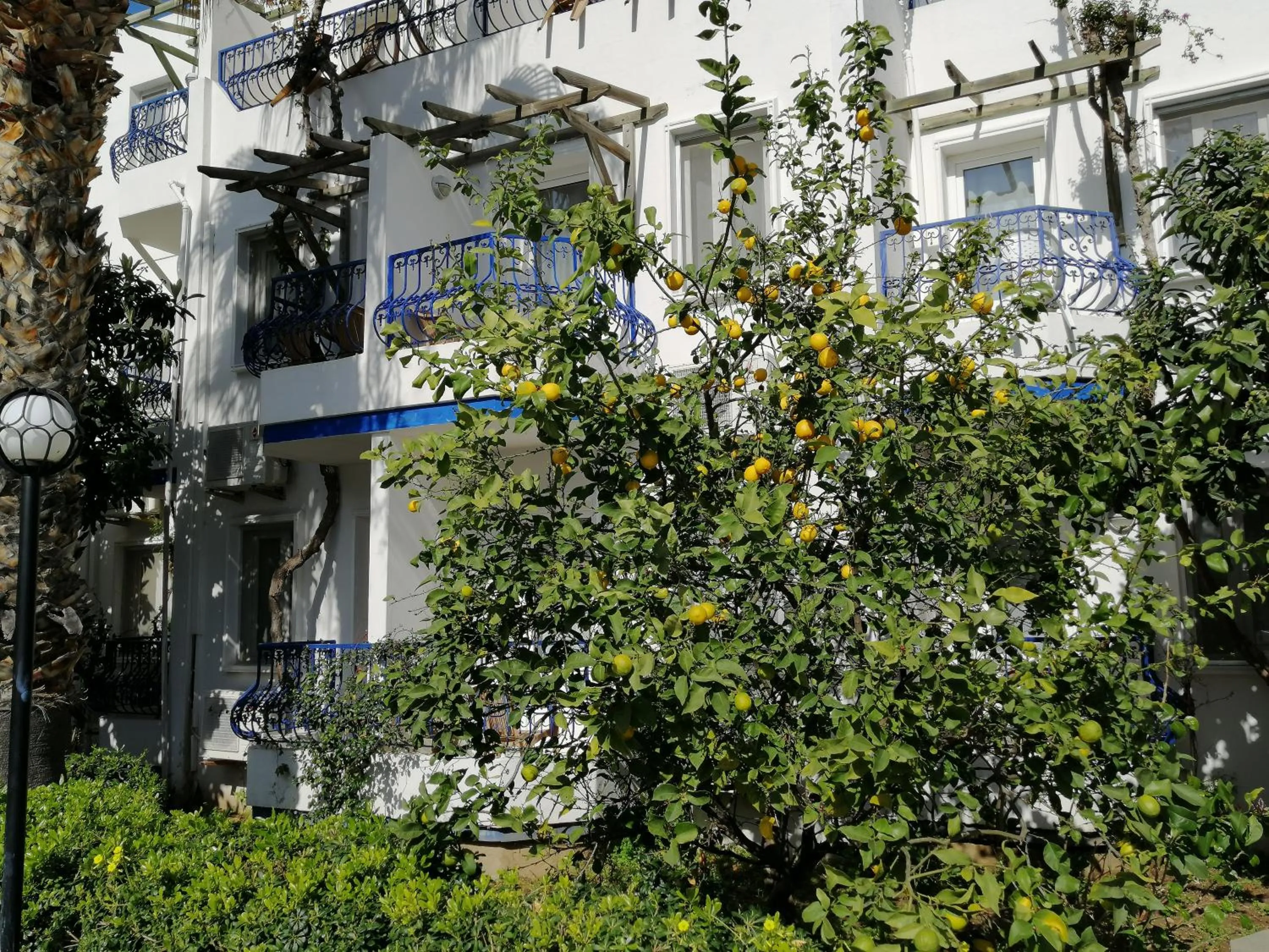 Property building in Serhan Hotel