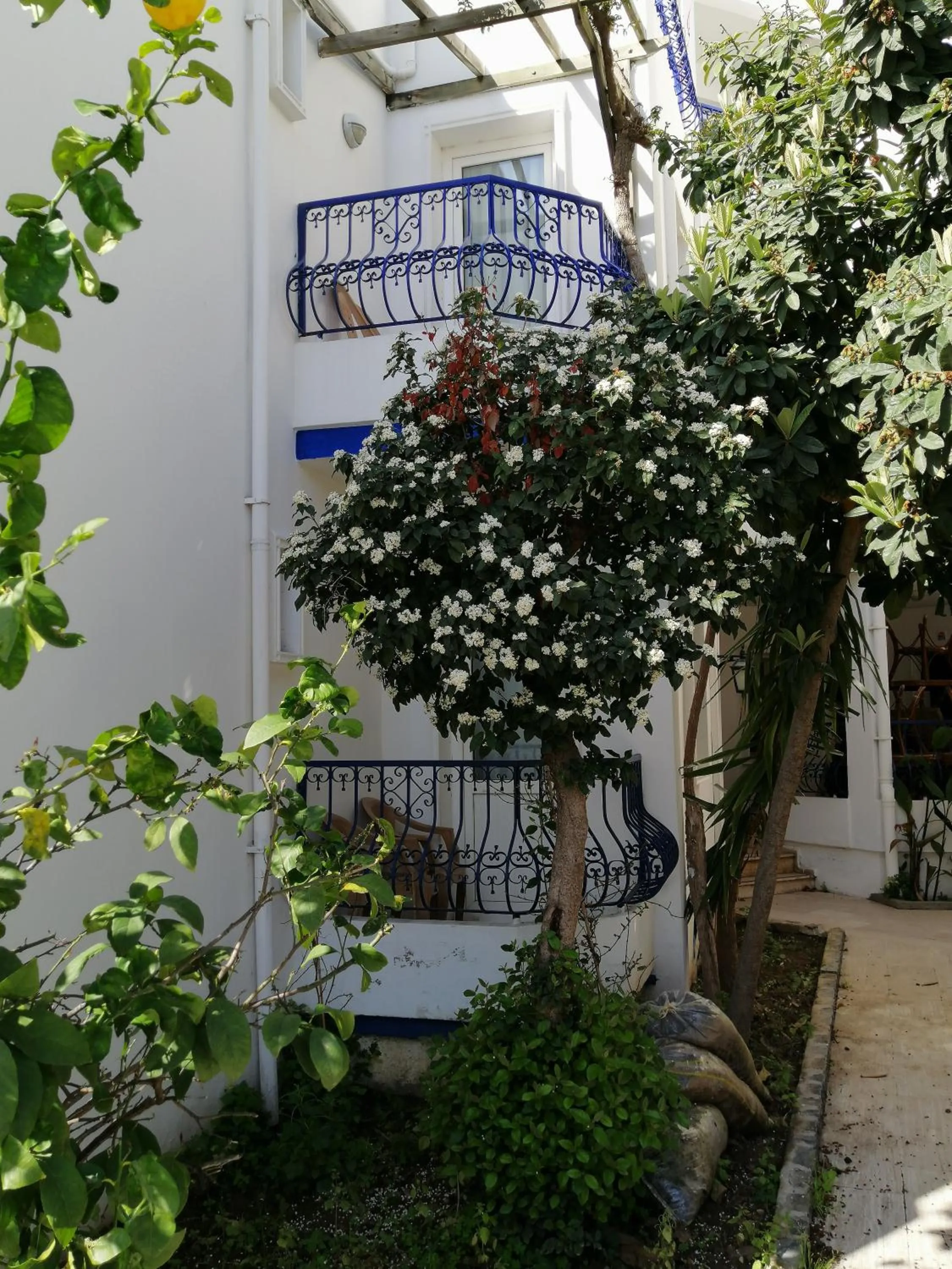 Property logo or sign in Serhan Hotel