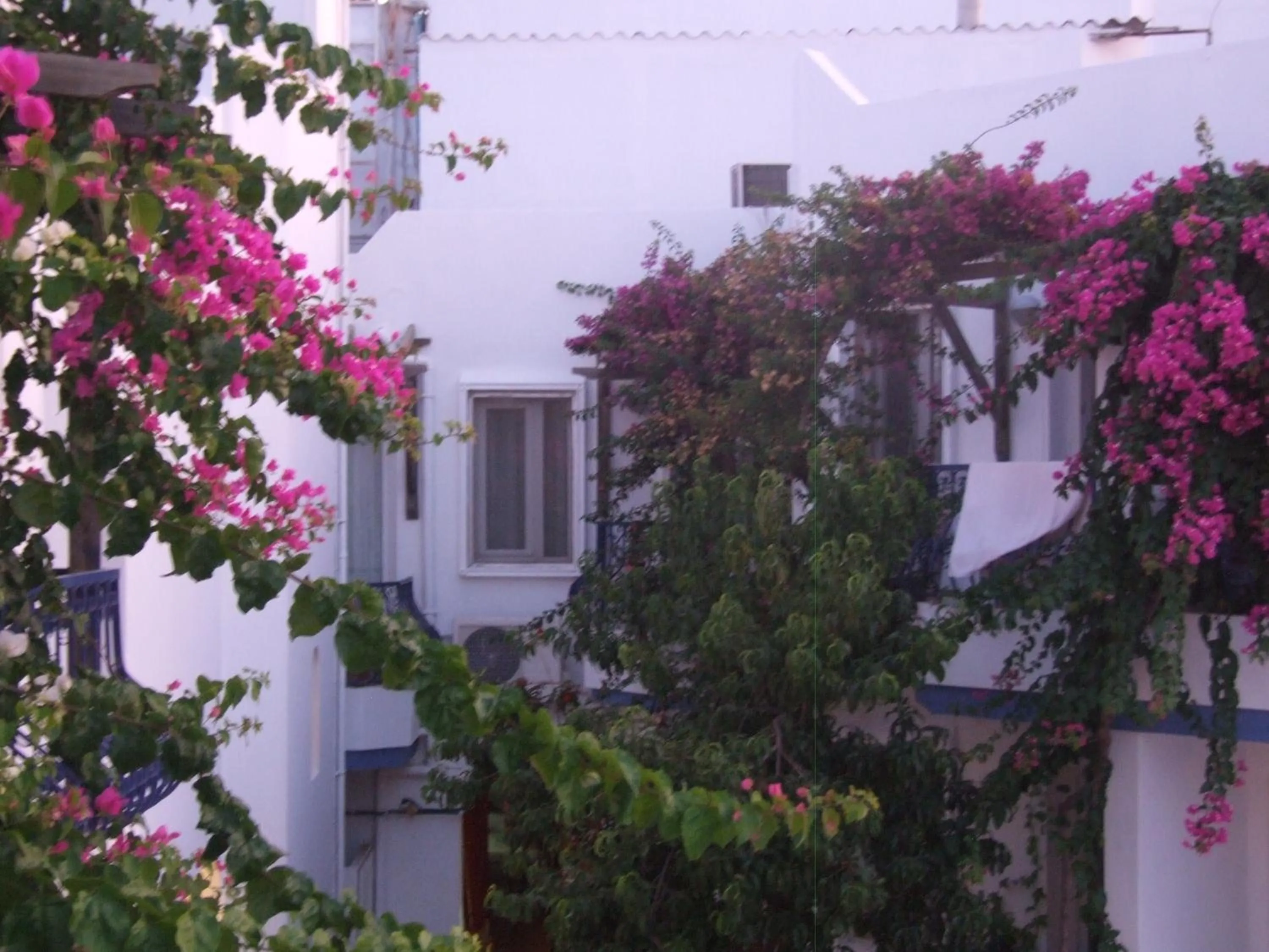 Balcony/Terrace in Serhan Hotel