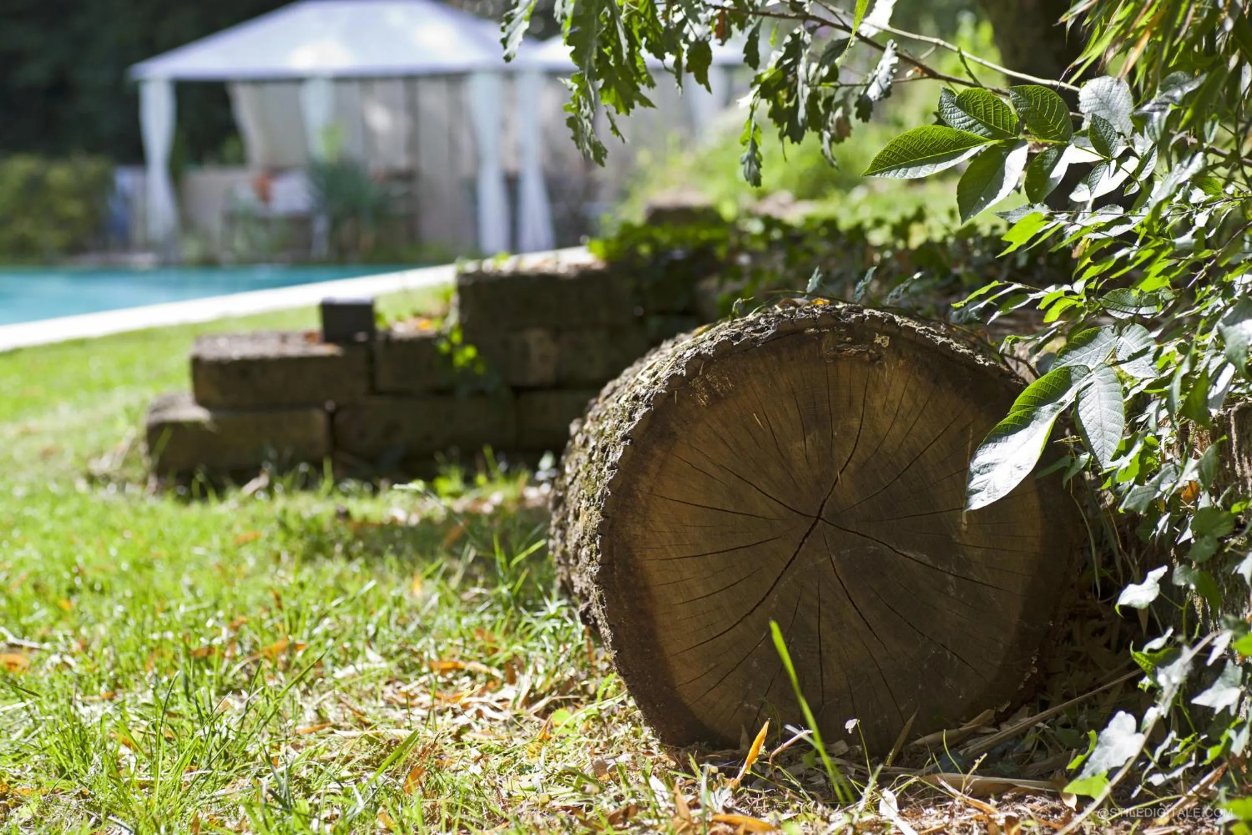 Garden view in Pragatto Hills by Casino di Pragatto