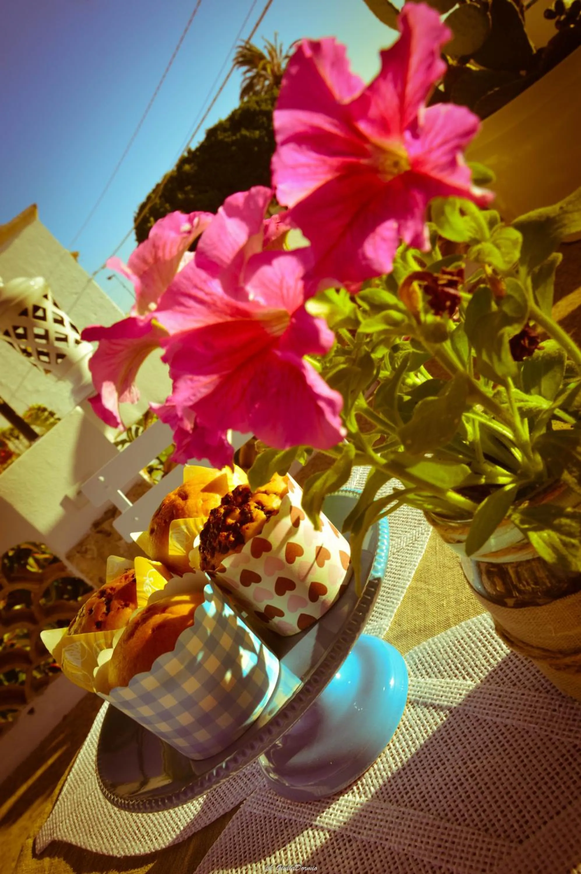 Buffet breakfast in Le Garitte