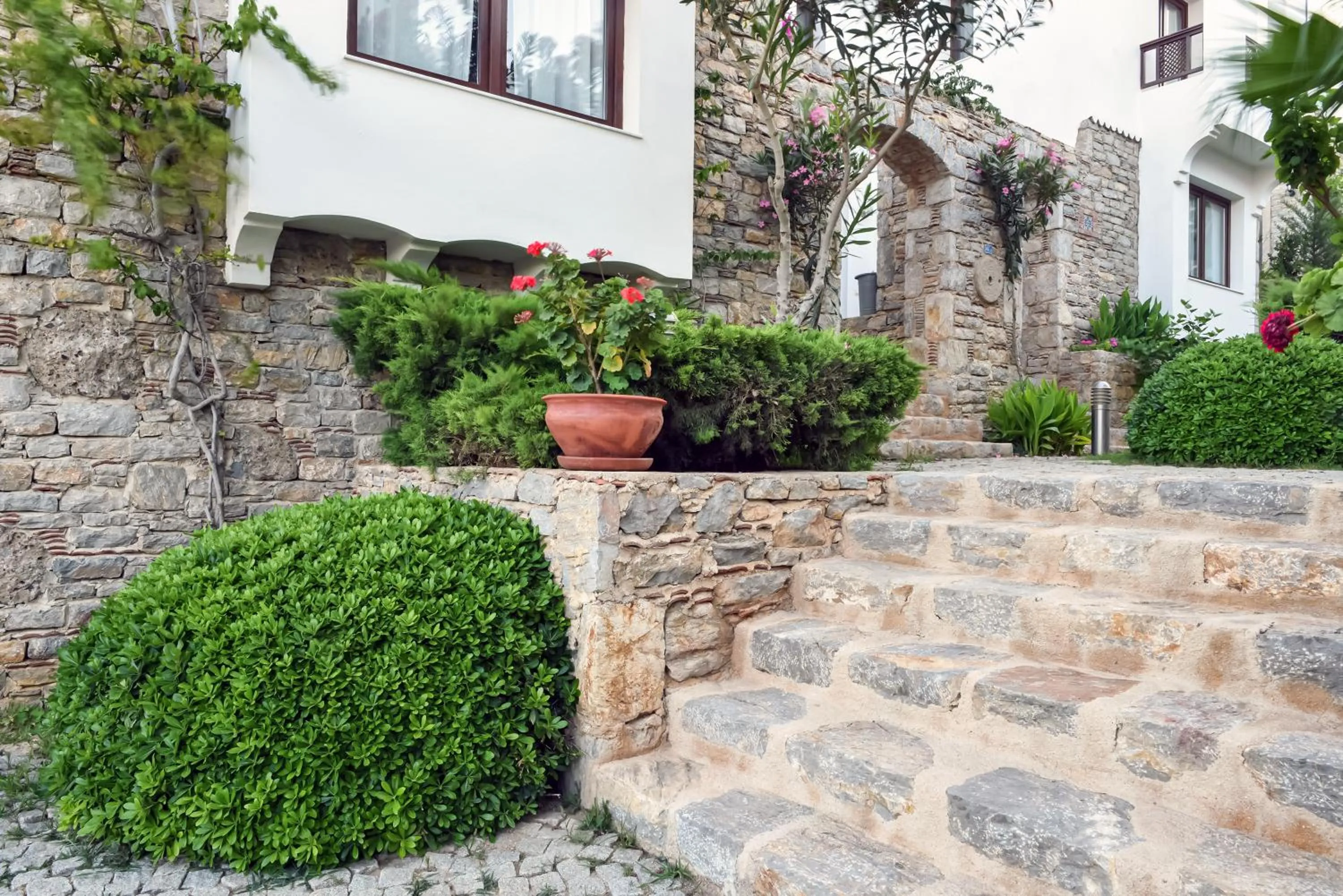 Garden in Marphe Hotel