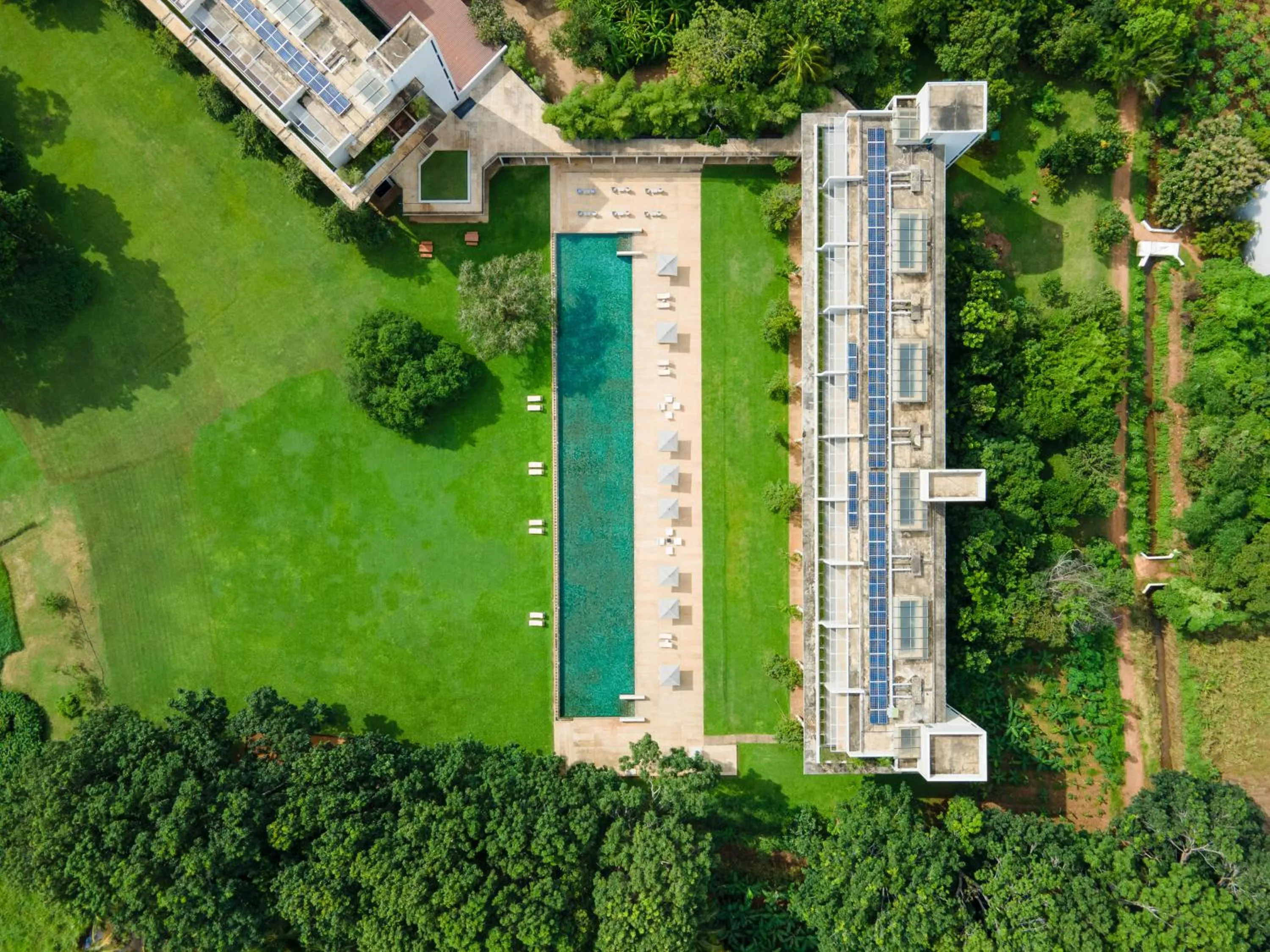 Bird's eye view in Jetwing Lake