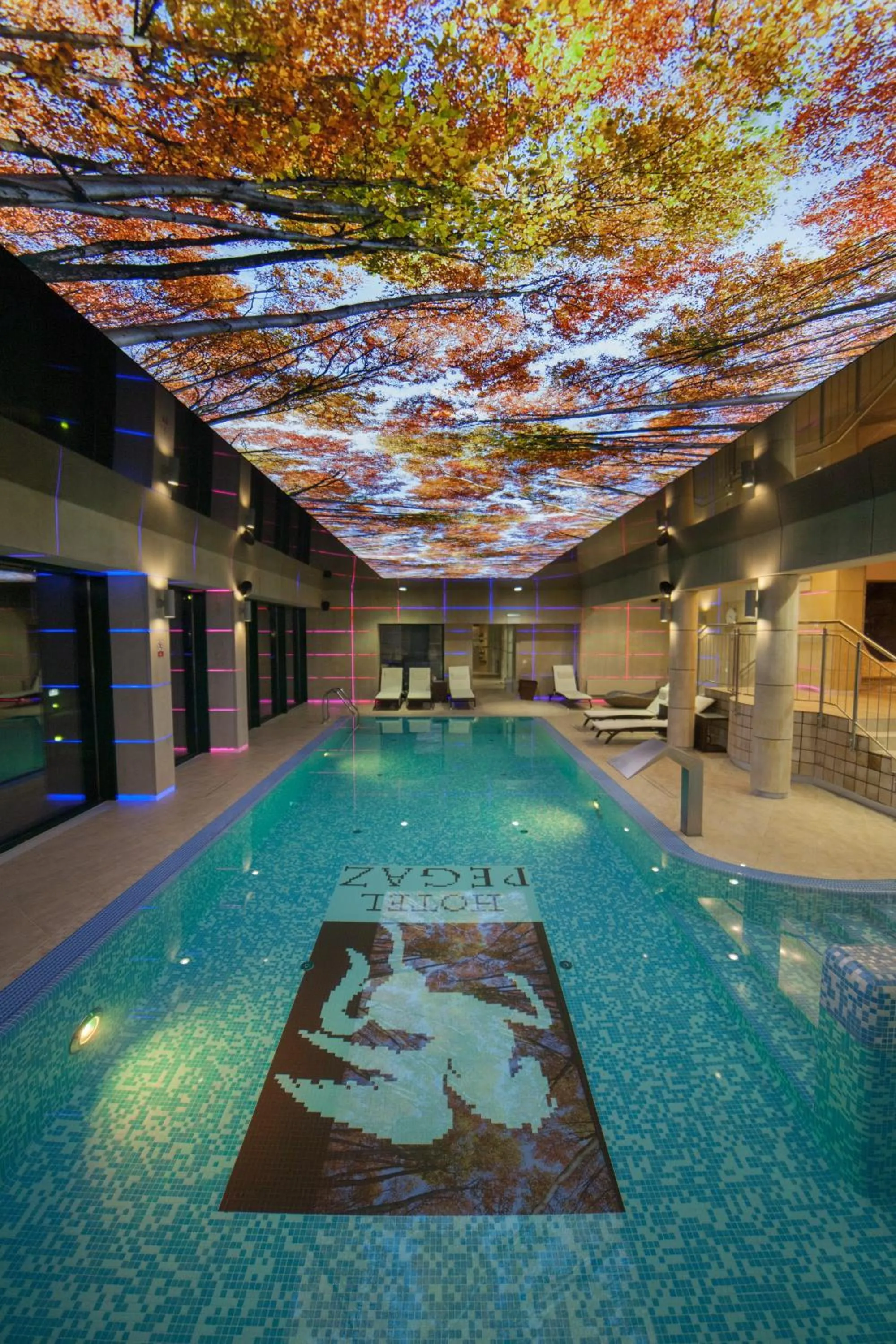 Swimming pool in Hotel Pegaz