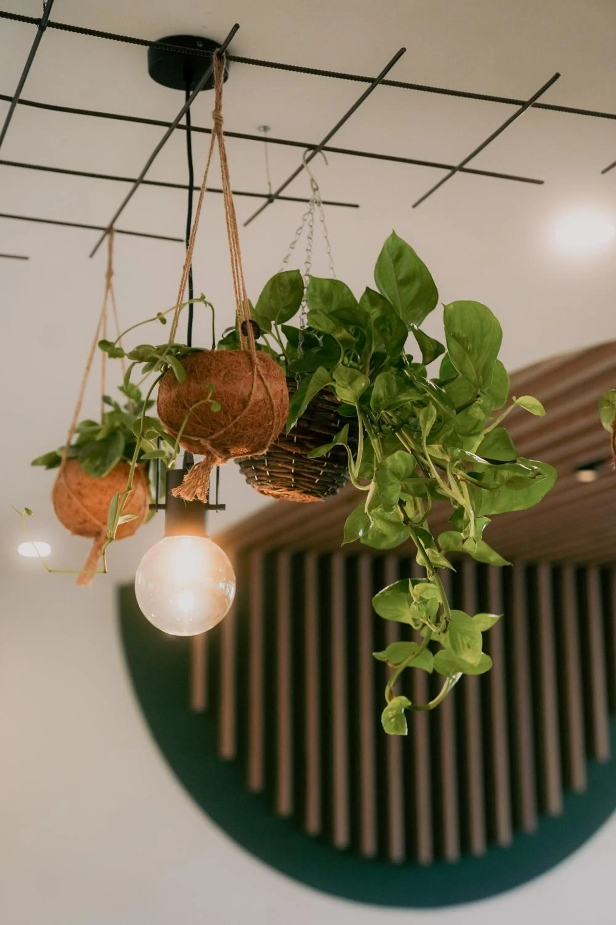 Restaurant/places to eat in Olimpionico Hotel